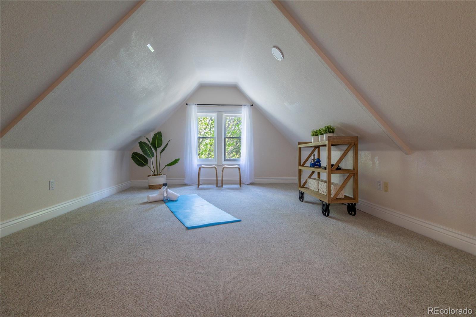 MLS Image #30 for 1361  elizabeth street,denver, Colorado
