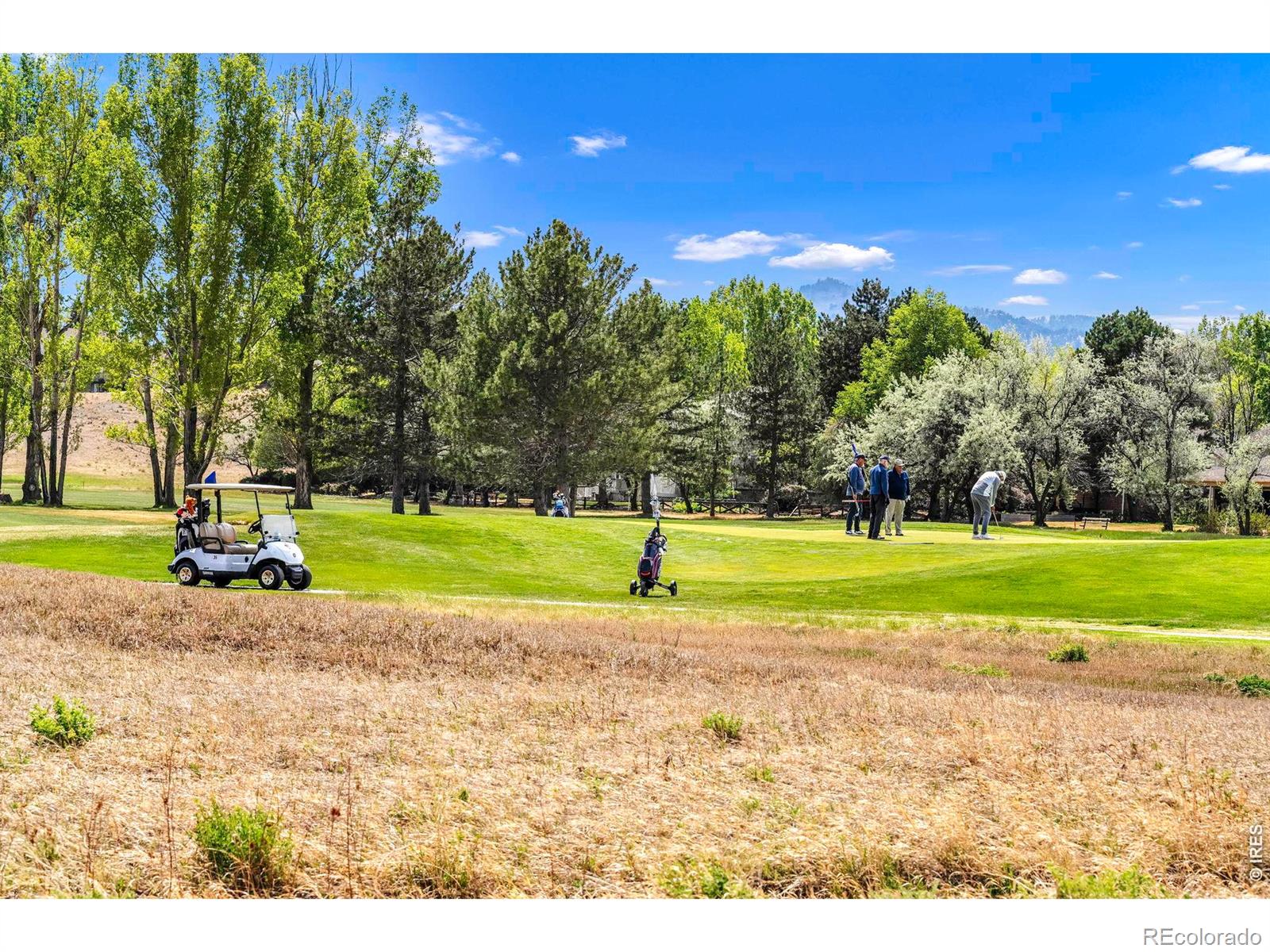 MLS Image #40 for 4080  greens place,longmont, Colorado