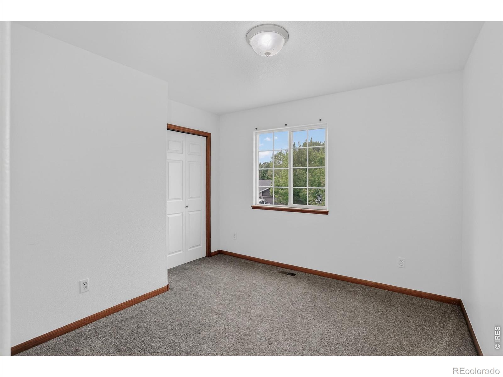 MLS Image #21 for 430  blue azurite avenue,loveland, Colorado