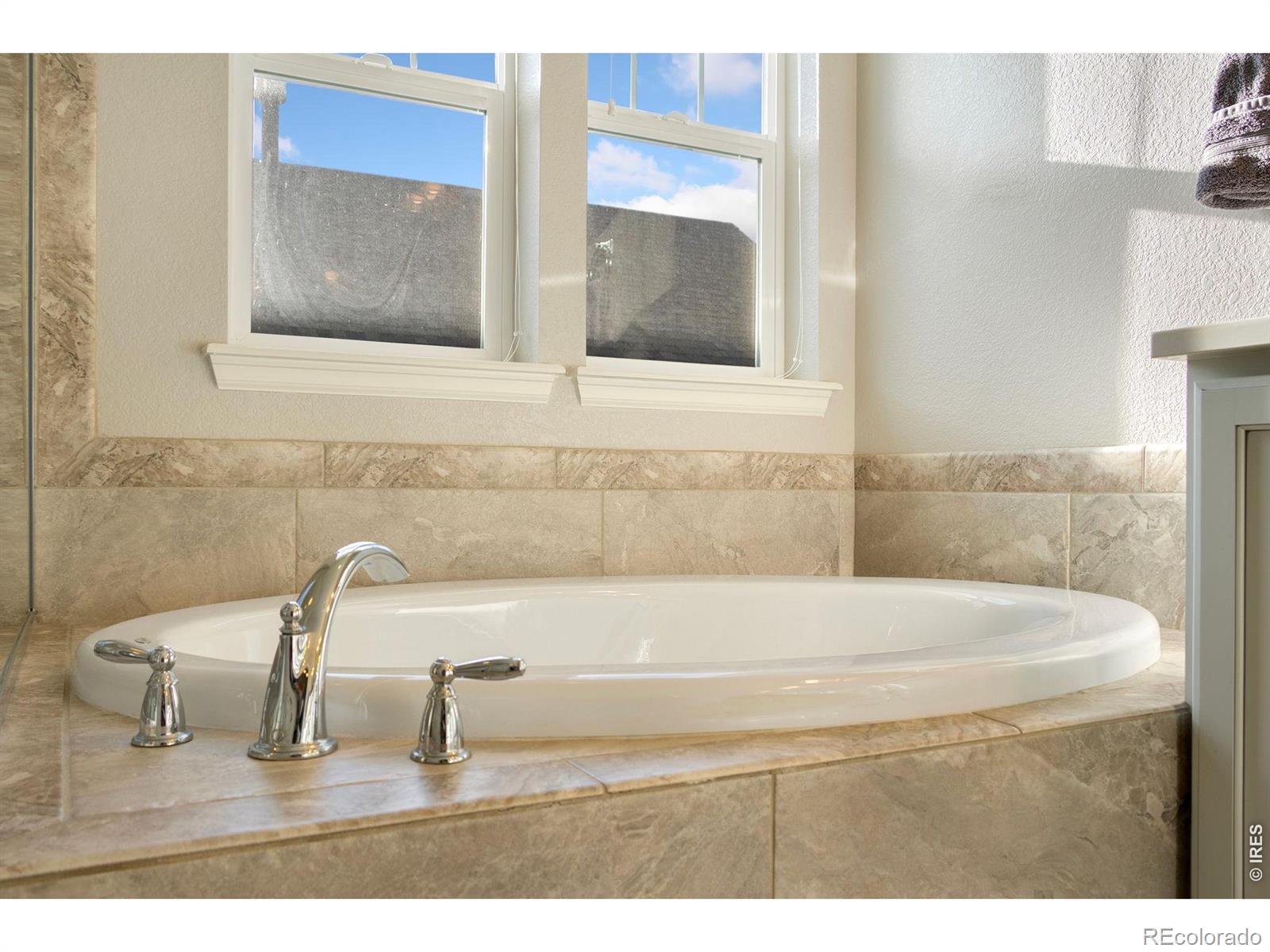 MLS Image #19 for 352  baja drive,windsor, Colorado