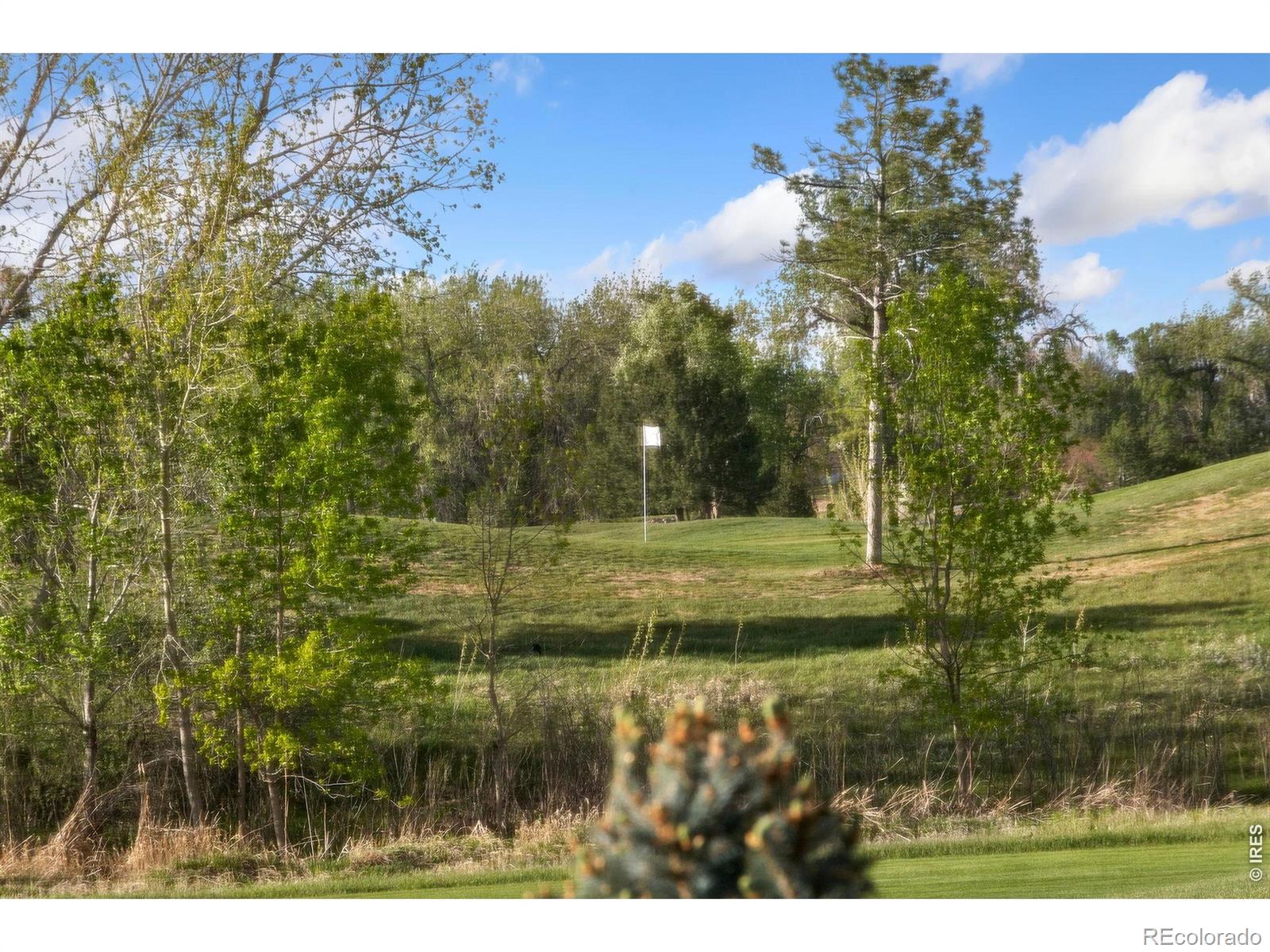 MLS Image #34 for 352  baja drive,windsor, Colorado