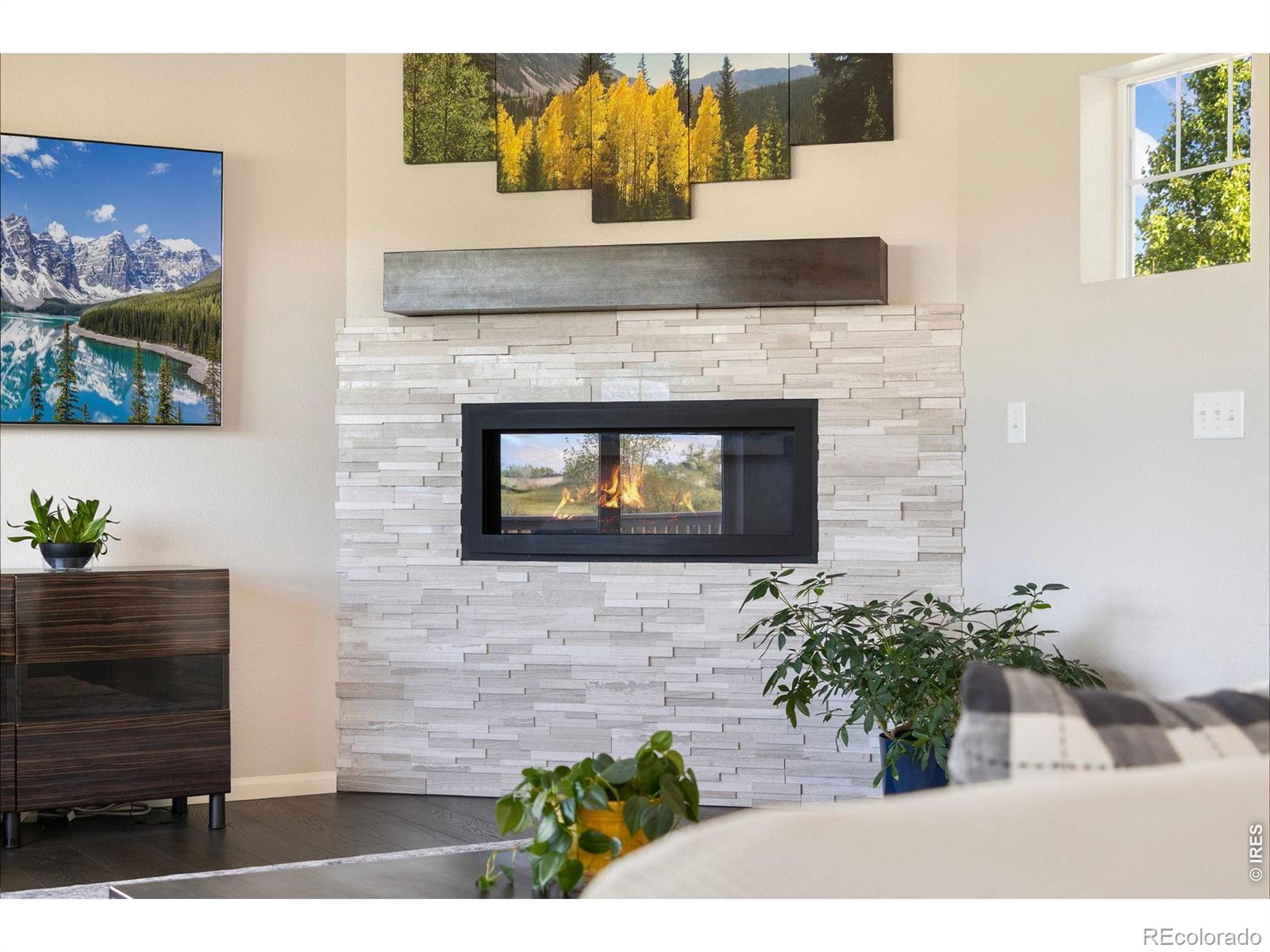 MLS Image #5 for 352  baja drive,windsor, Colorado