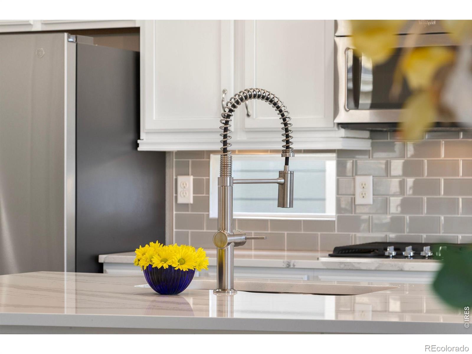MLS Image #8 for 352  baja drive,windsor, Colorado