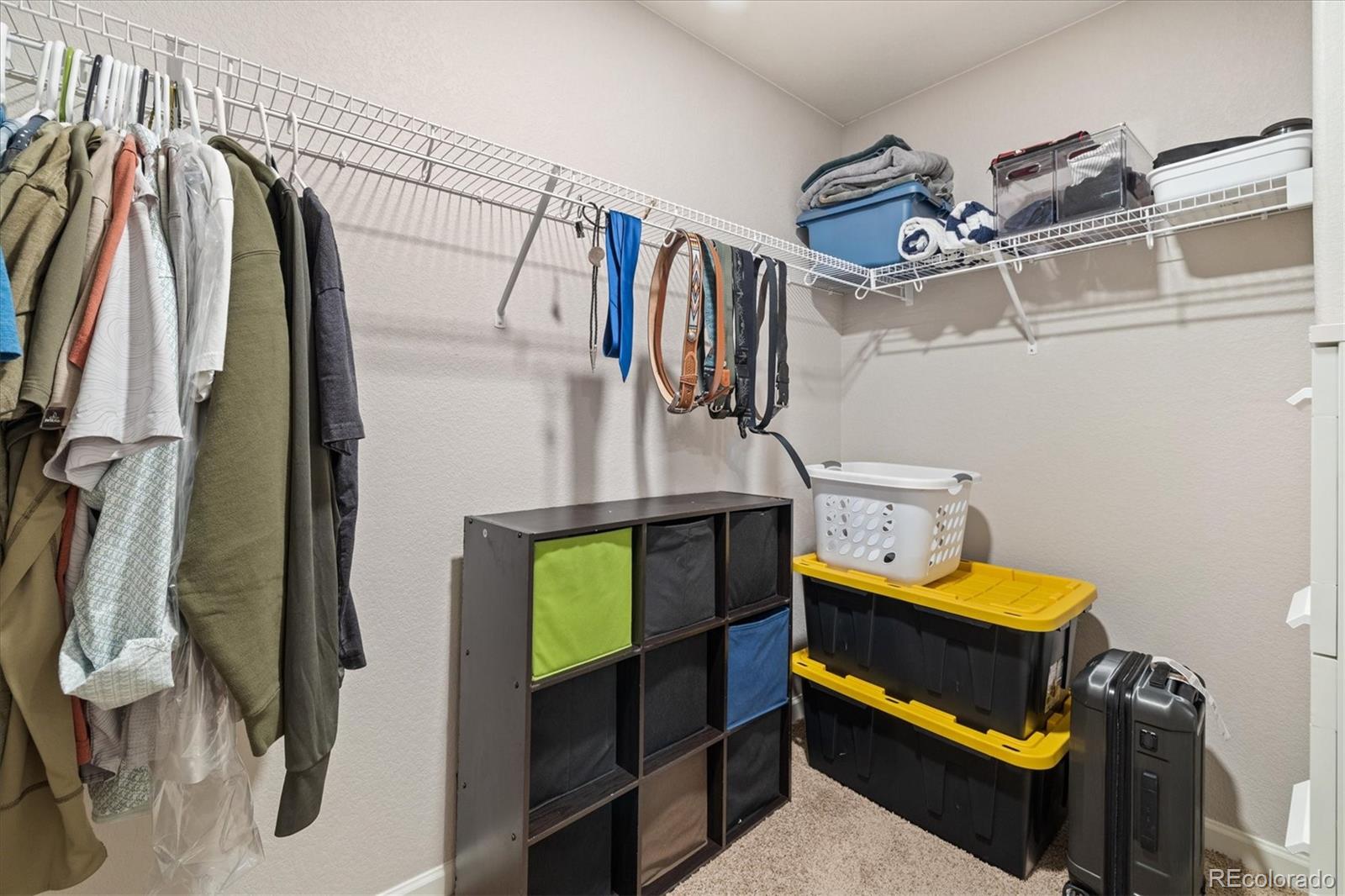 MLS Image #21 for 14860  guernsey drive,mead, Colorado