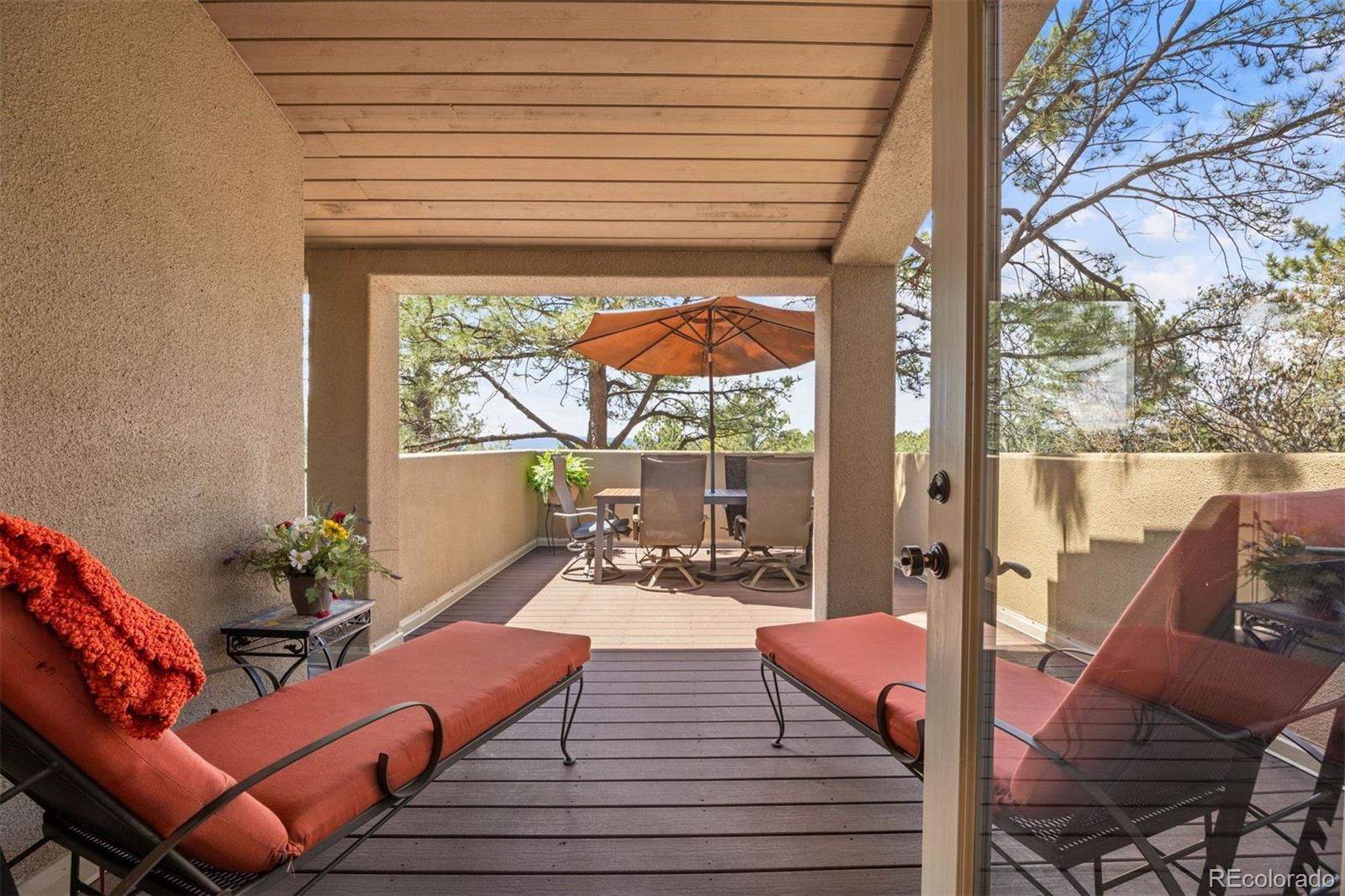 MLS Image #16 for 2237  ridge plaza drive,castle rock, Colorado