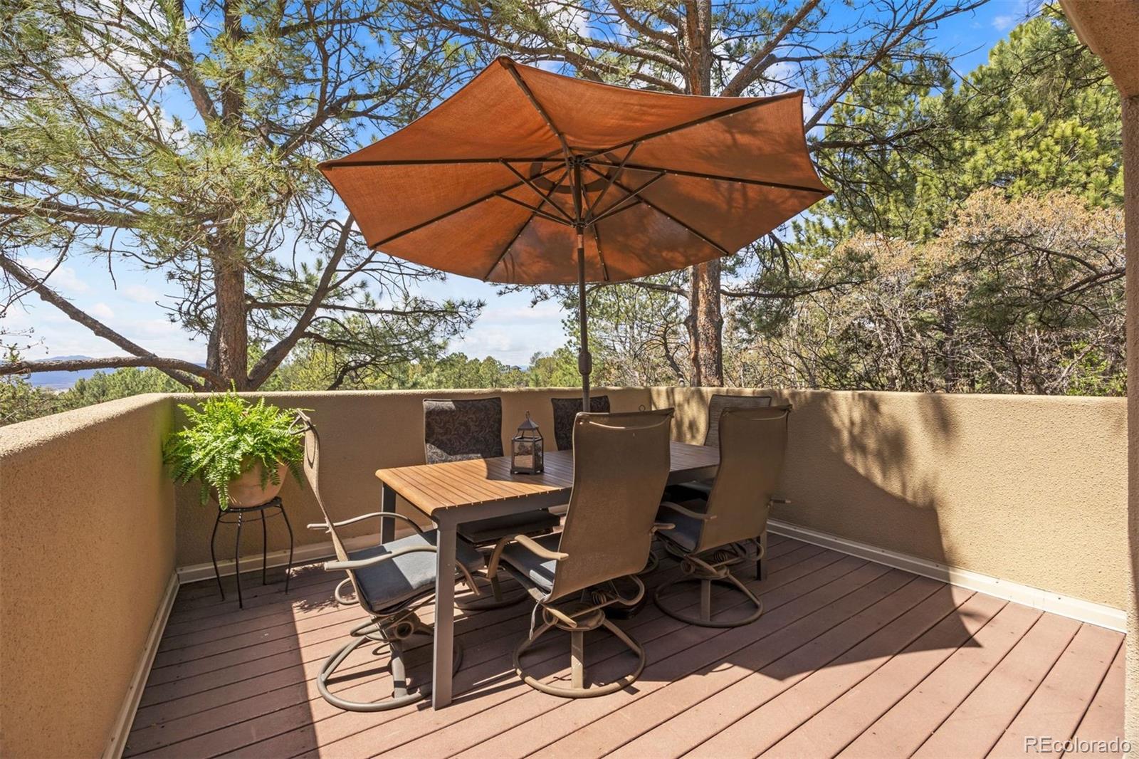 MLS Image #17 for 2237  ridge plaza drive,castle rock, Colorado