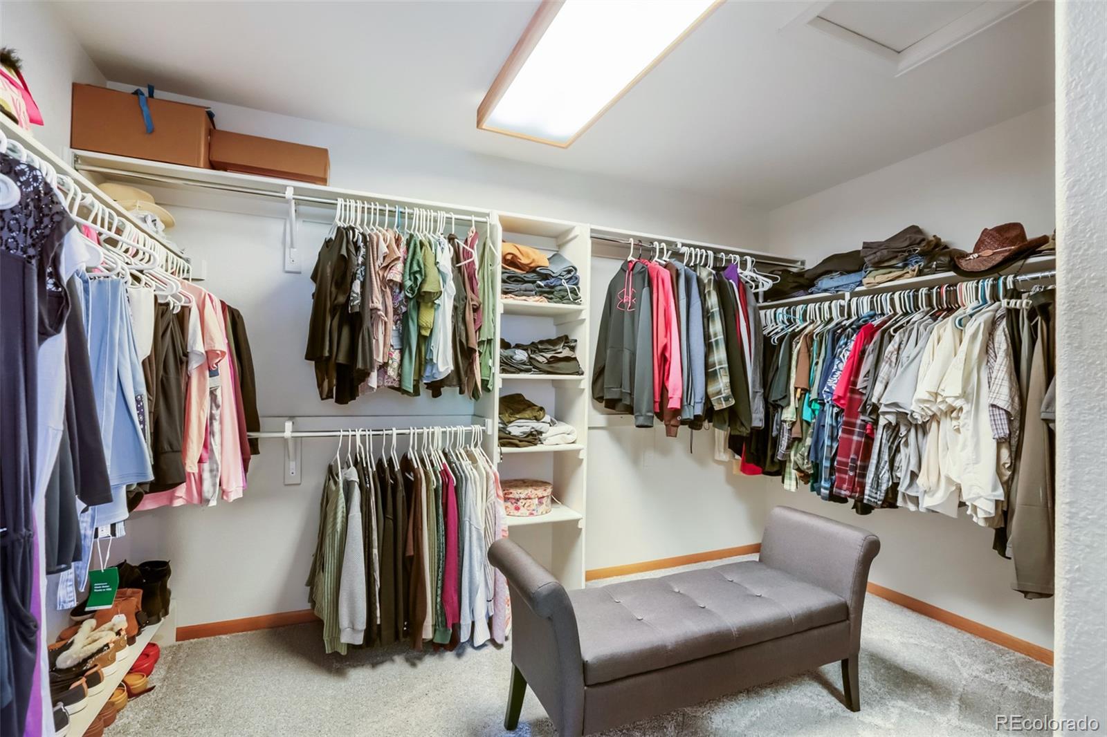 MLS Image #27 for 805  waxberry court,loveland, Colorado