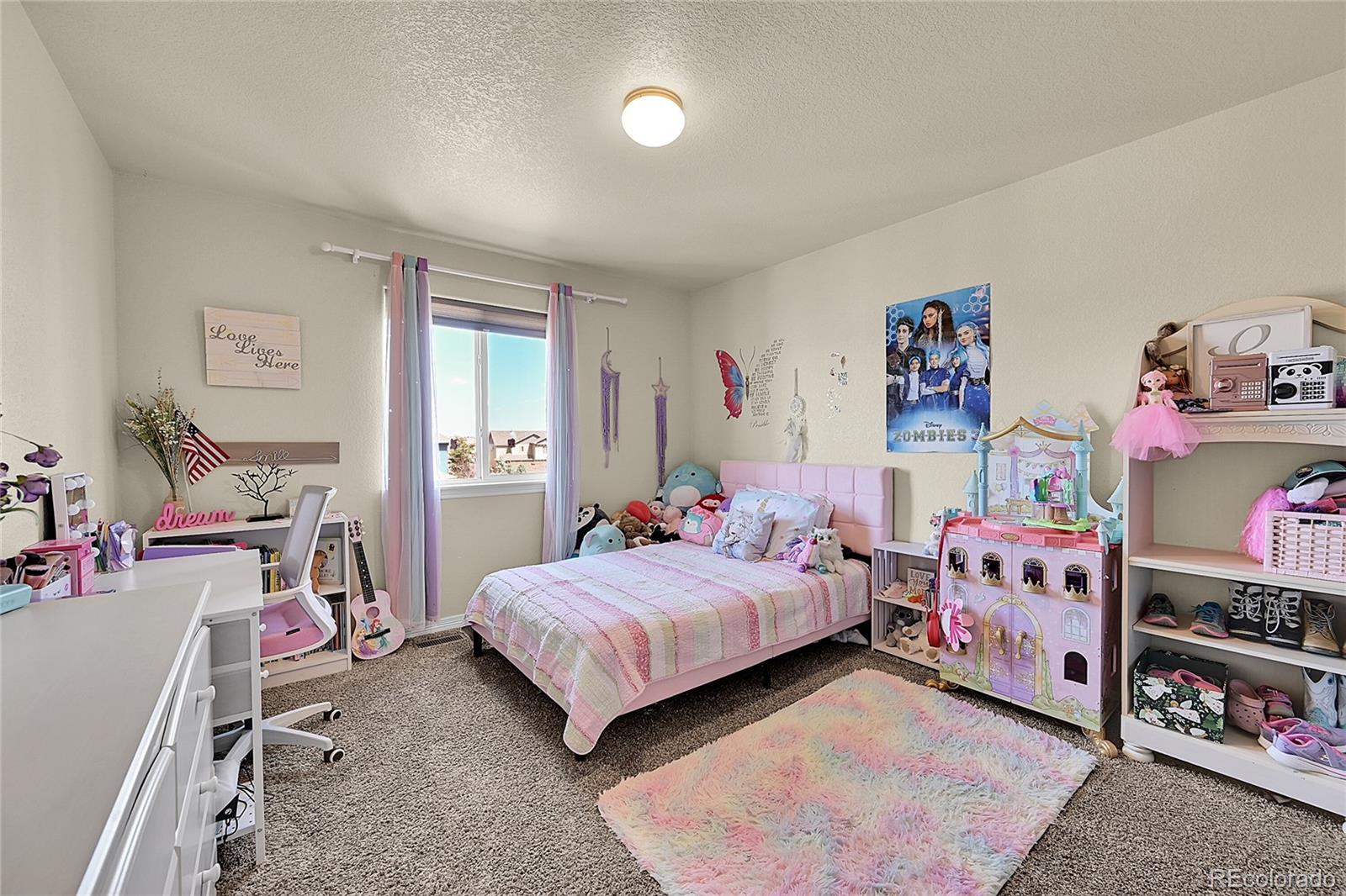 MLS Image #24 for 10225  mt lincoln drive,peyton, Colorado