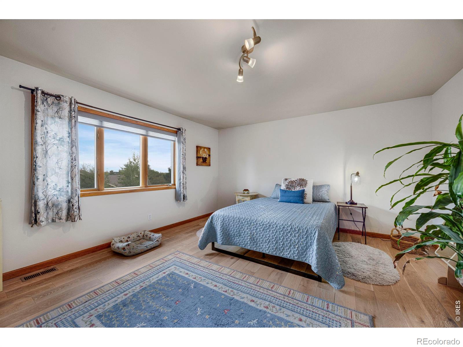 MLS Image #13 for 7330  silvermoon lane,fort collins, Colorado