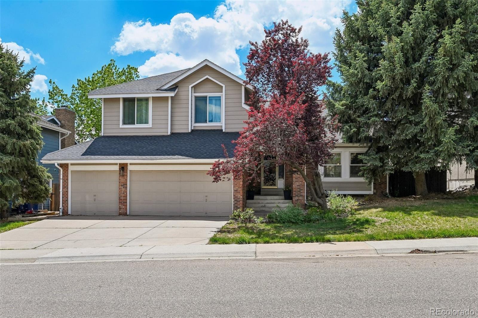 MLS Image #2 for 8641  snowbrush lane,highlands ranch, Colorado