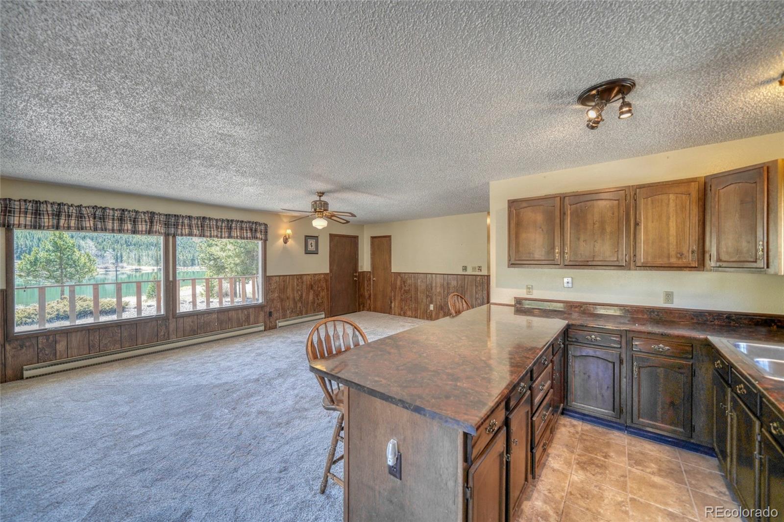 MLS Image #29 for 148  cougar road,leadville, Colorado