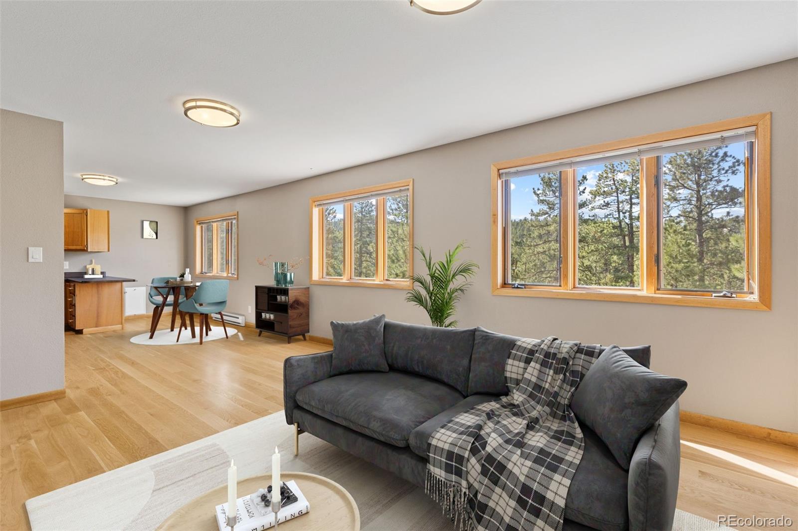 MLS Image #10 for 7186  julie lane,evergreen, Colorado