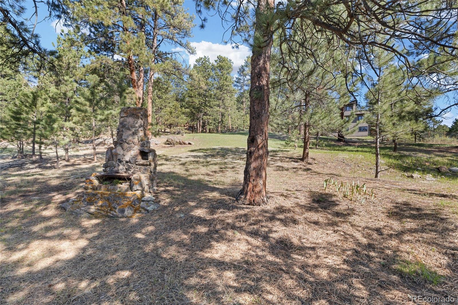 MLS Image #17 for 7186  julie lane,evergreen, Colorado