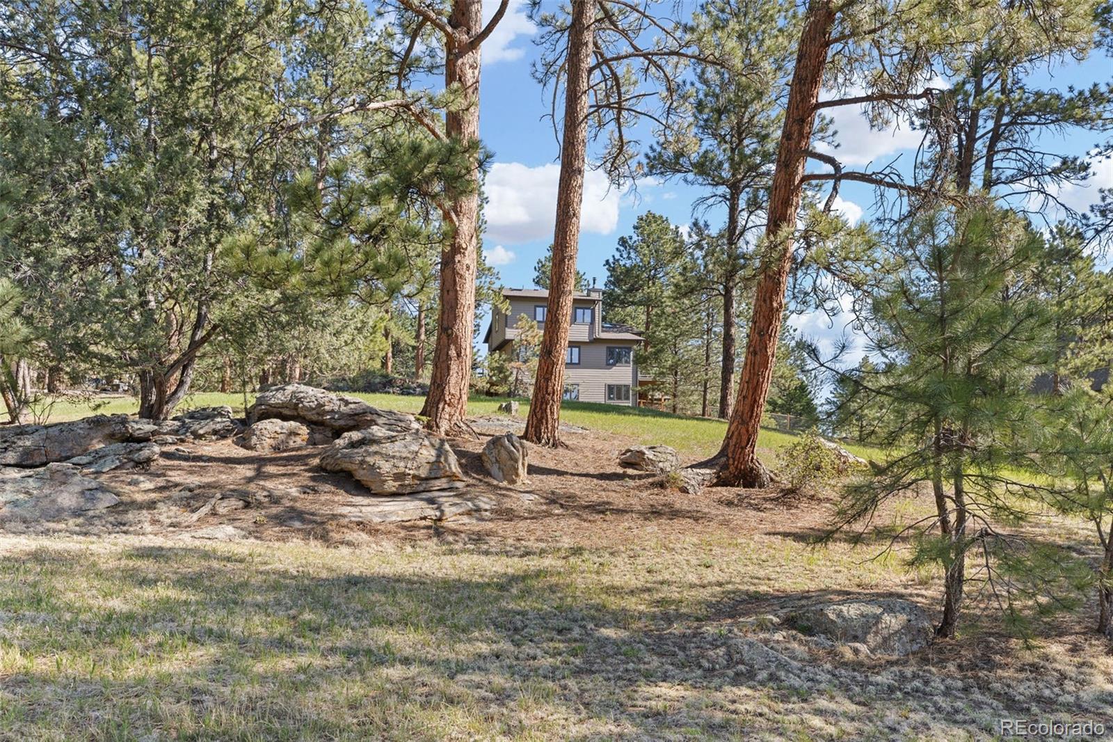 MLS Image #18 for 7186  julie lane,evergreen, Colorado