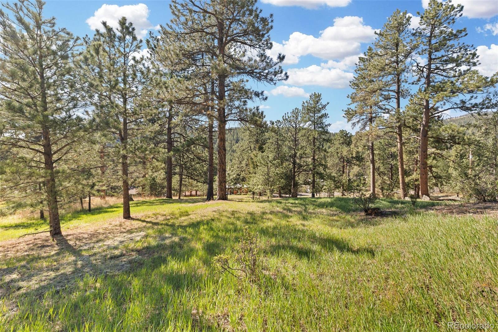 MLS Image #2 for 7186  julie lane,evergreen, Colorado