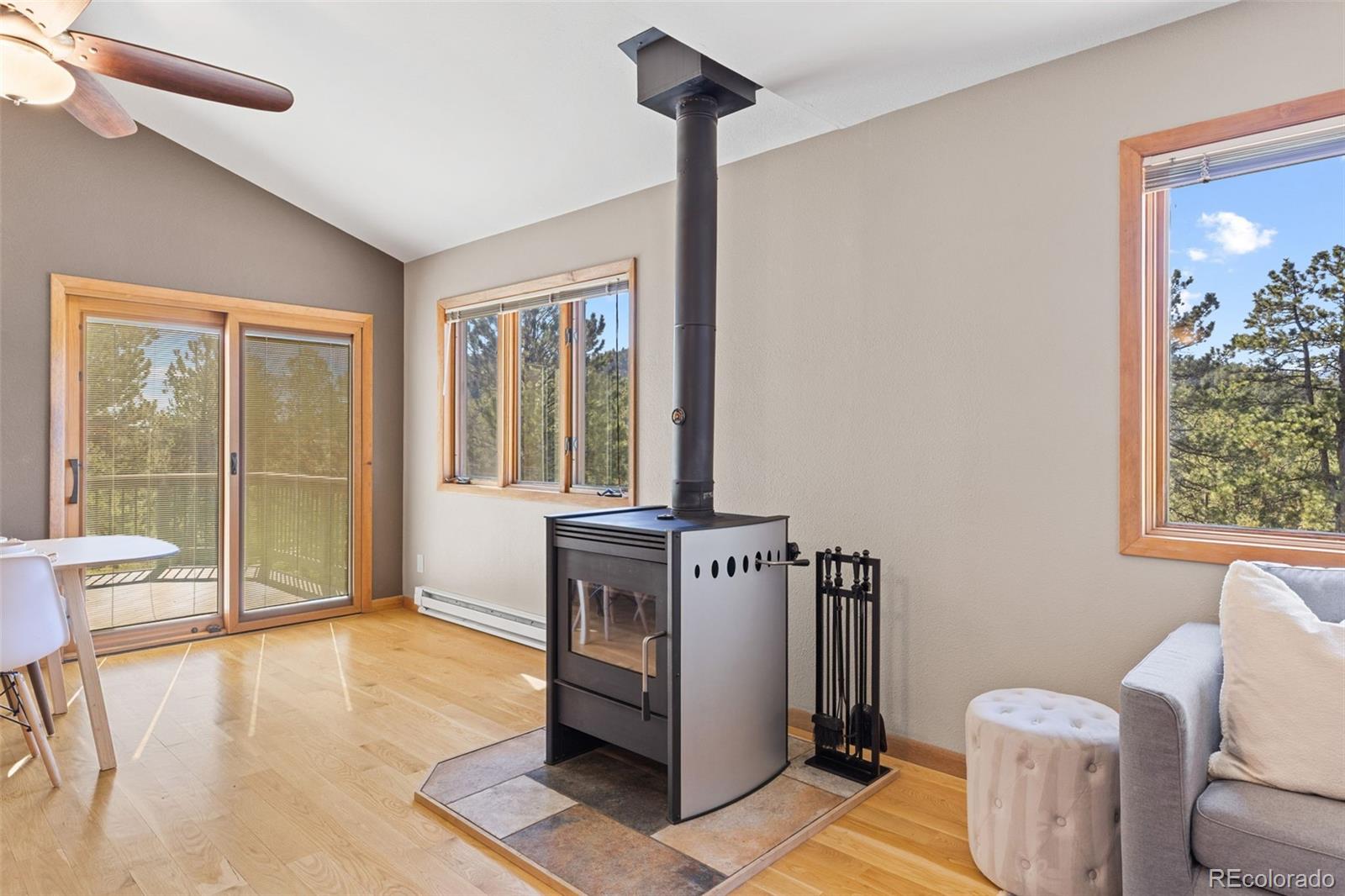 MLS Image #20 for 7186  julie lane,evergreen, Colorado