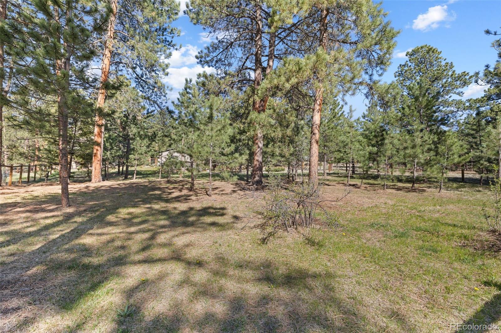 MLS Image #45 for 7186  julie lane,evergreen, Colorado