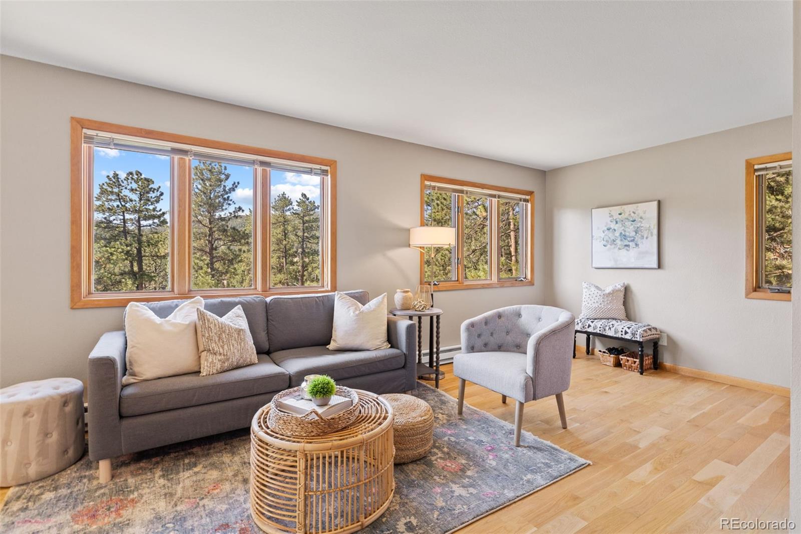 MLS Image #5 for 7186  julie lane,evergreen, Colorado