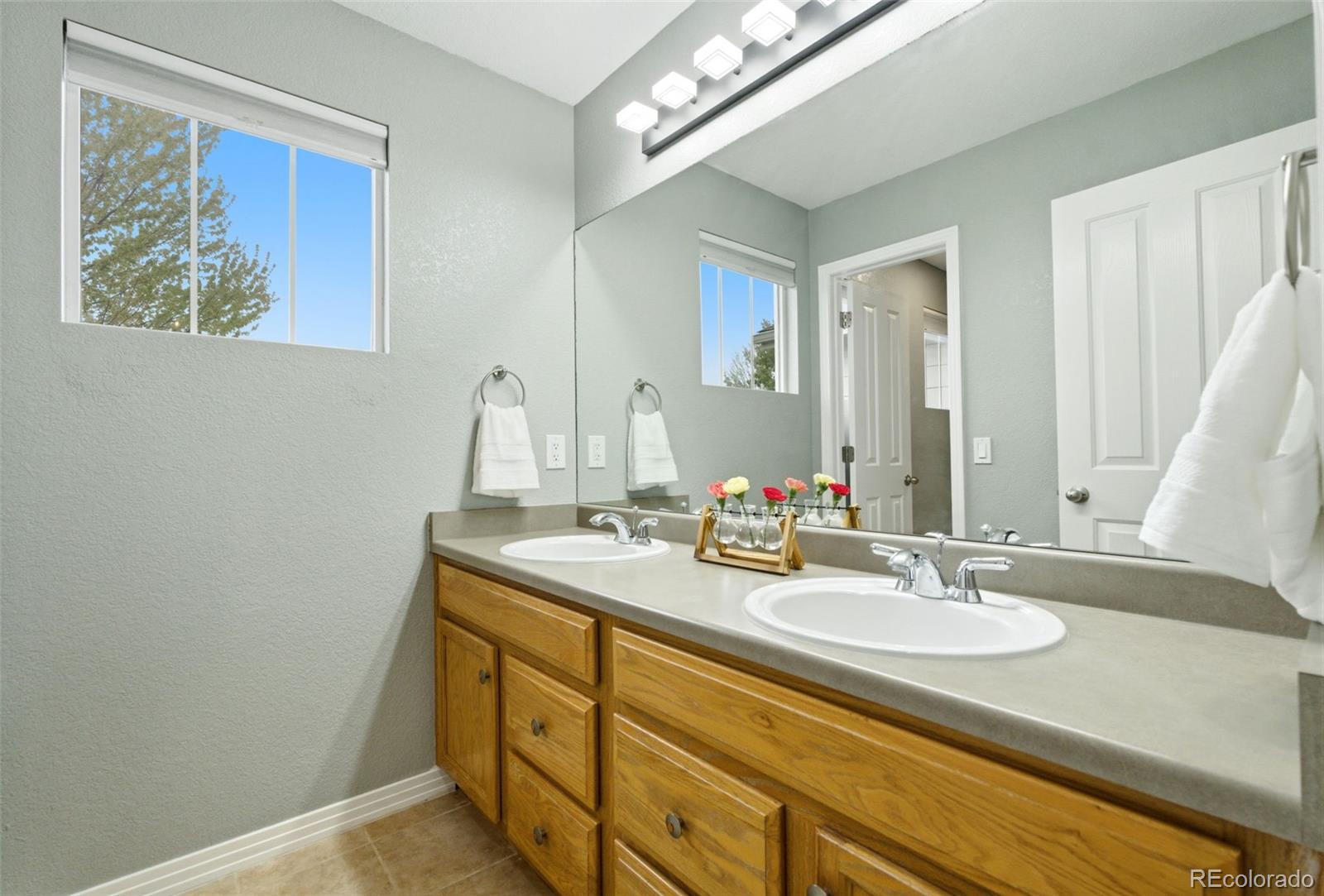MLS Image #26 for 25295 e park crescent drive,aurora, Colorado