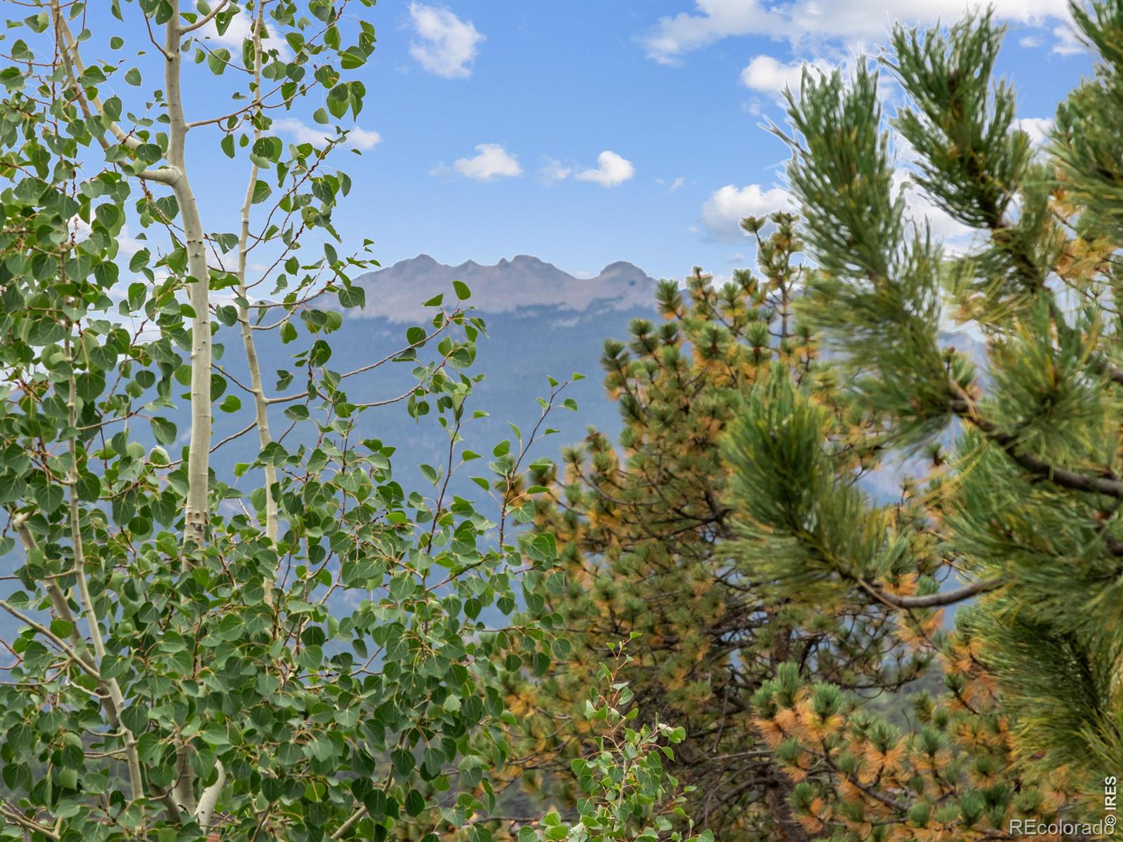 MLS Image #12 for 557  grand estates drive,estes park, Colorado