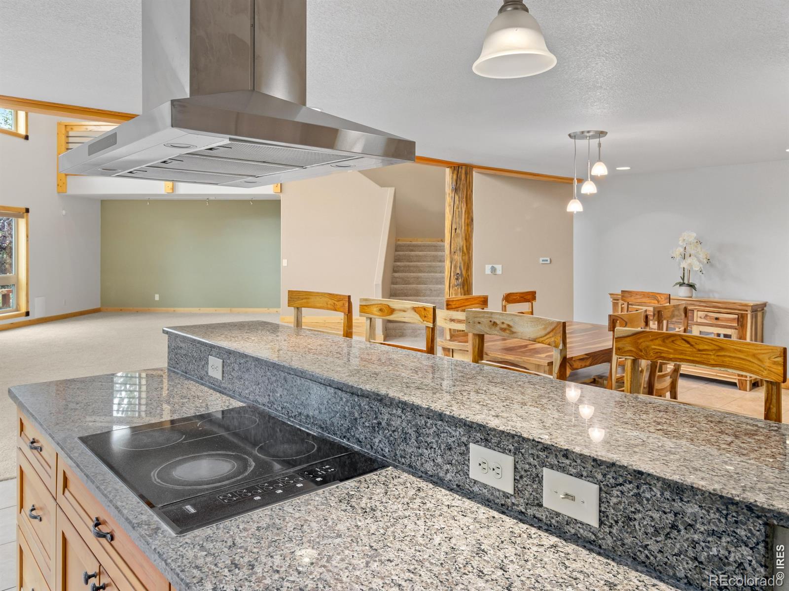 MLS Image #19 for 557  grand estates drive,estes park, Colorado
