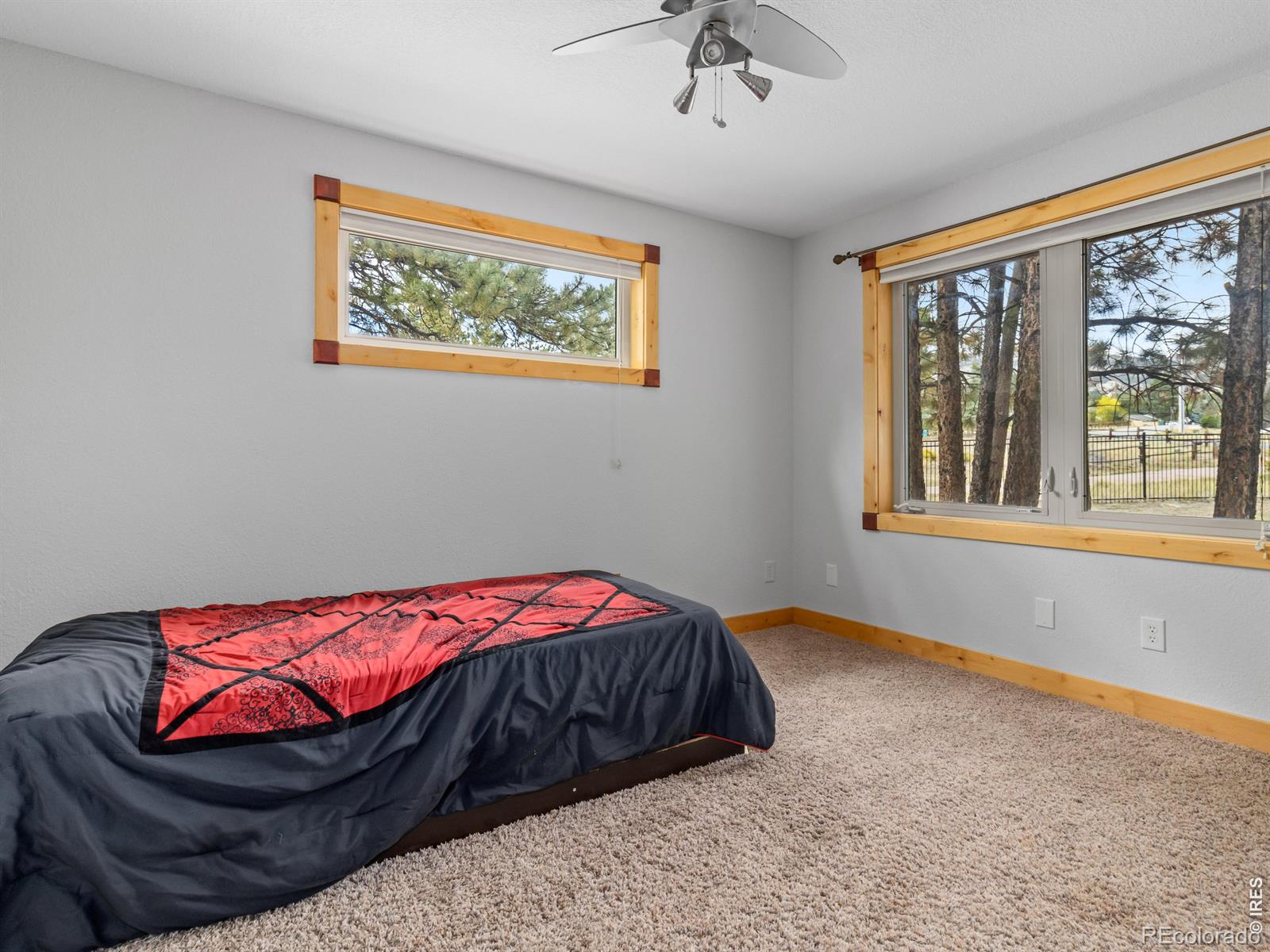 MLS Image #34 for 557  grand estates drive,estes park, Colorado