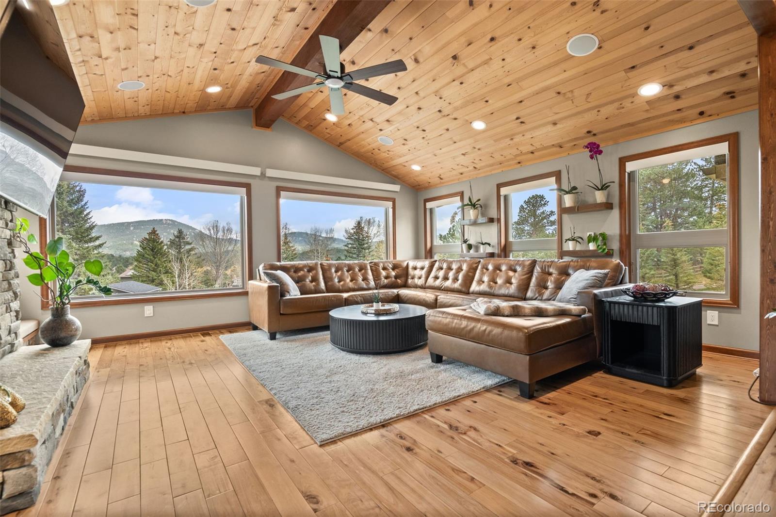 MLS Image #6 for 29523  greenwood lane,evergreen, Colorado