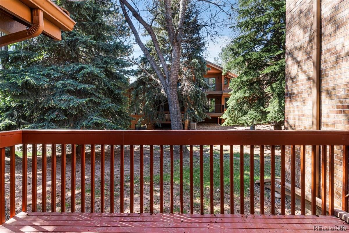 MLS Image #18 for 5414  coyote canyon way,morrison, Colorado