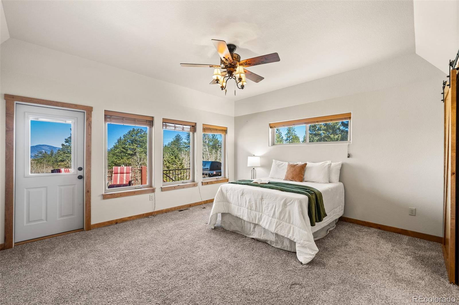 MLS Image #12 for 417  beaver creek drive,lake george, Colorado