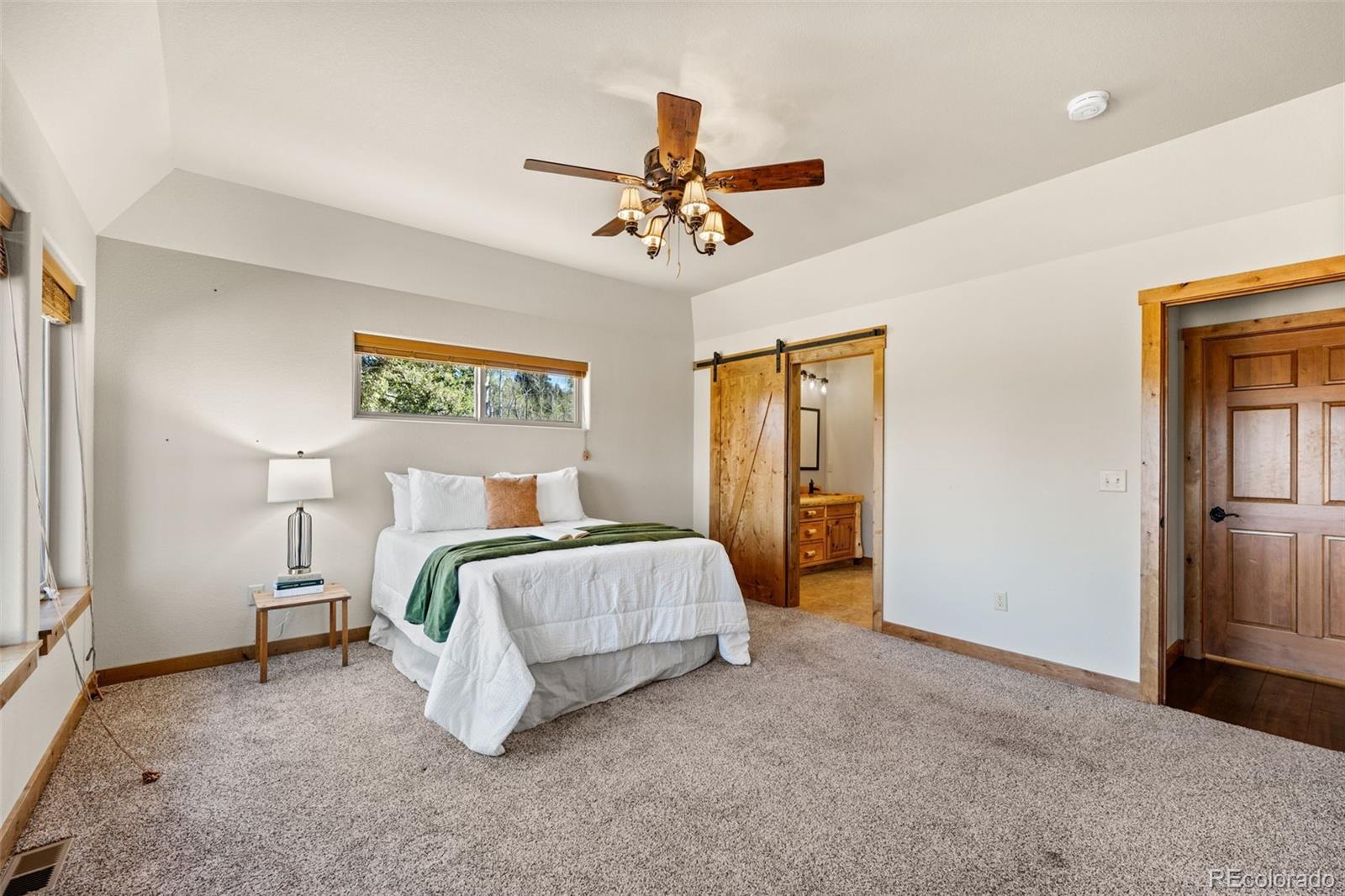 MLS Image #13 for 417  beaver creek drive,lake george, Colorado