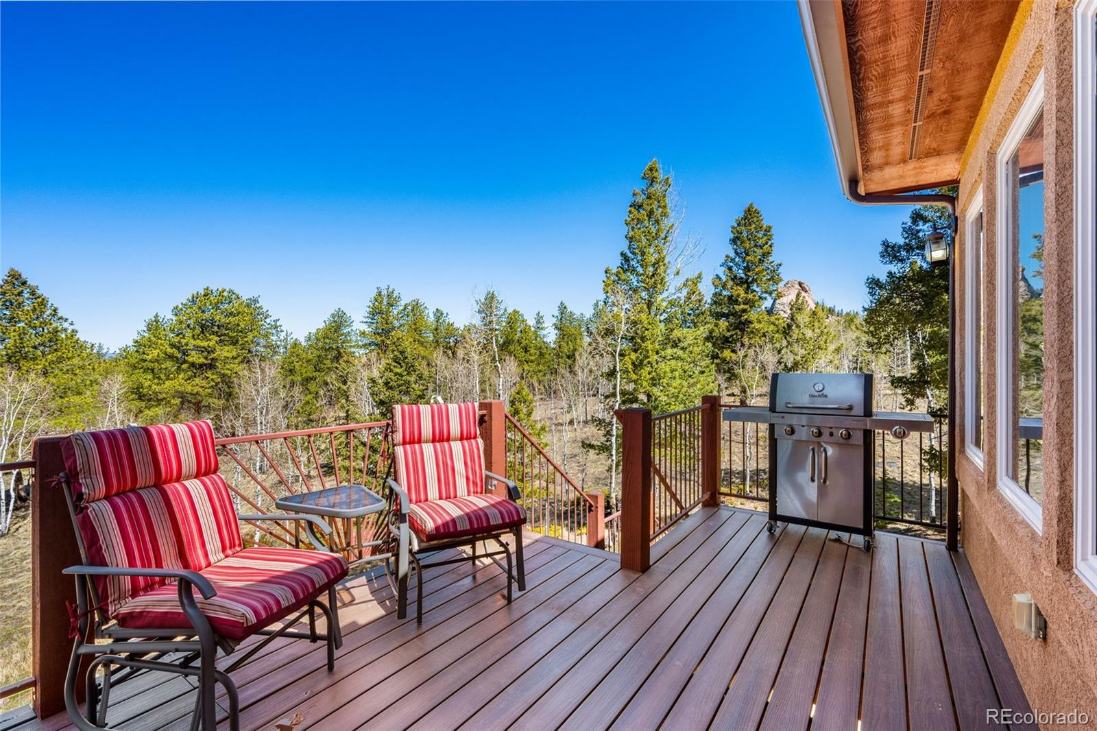 MLS Image #19 for 417  beaver creek drive,lake george, Colorado