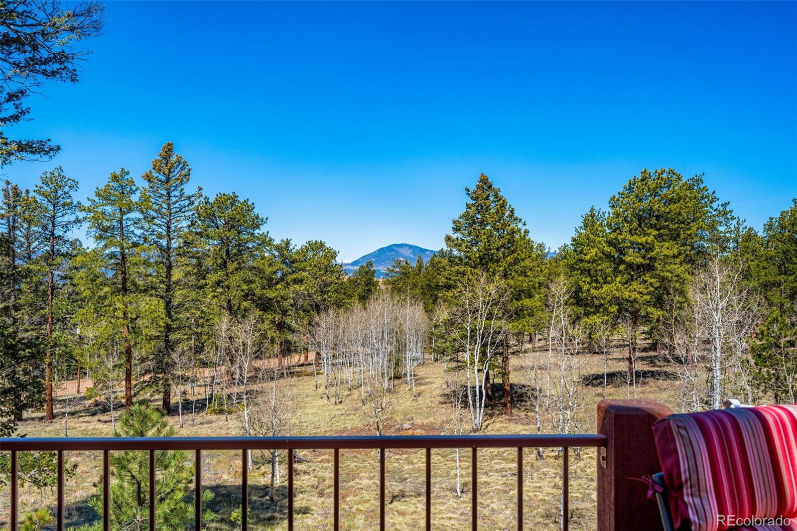 MLS Image #20 for 417  beaver creek drive,lake george, Colorado