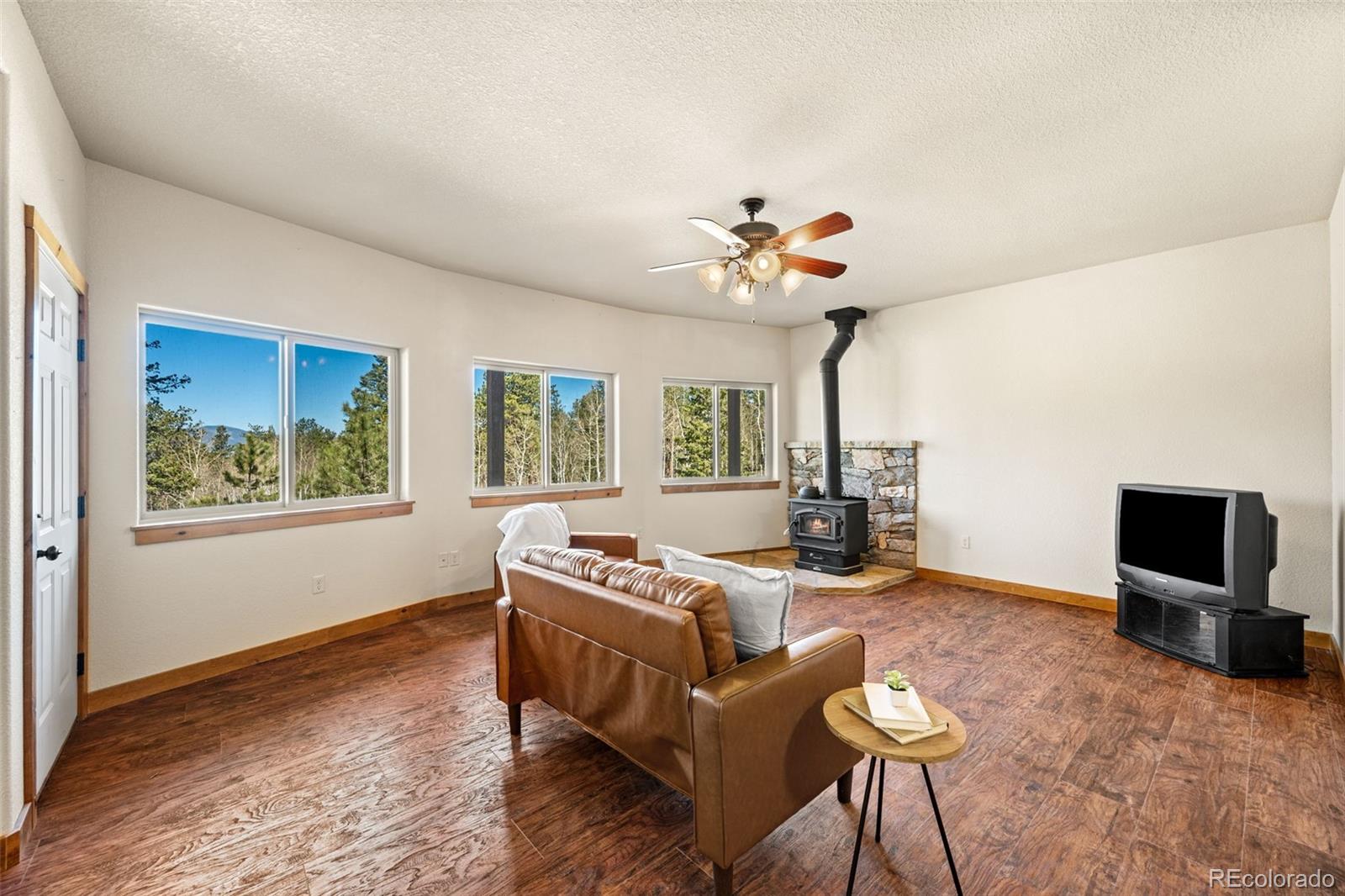 MLS Image #26 for 417  beaver creek drive,lake george, Colorado