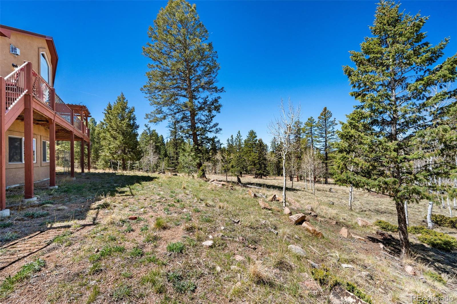 MLS Image #31 for 417  beaver creek drive,lake george, Colorado