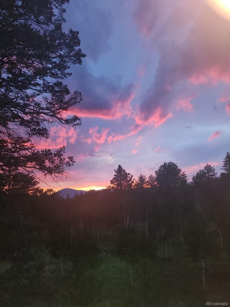 MLS Image #33 for 417  beaver creek drive,lake george, Colorado