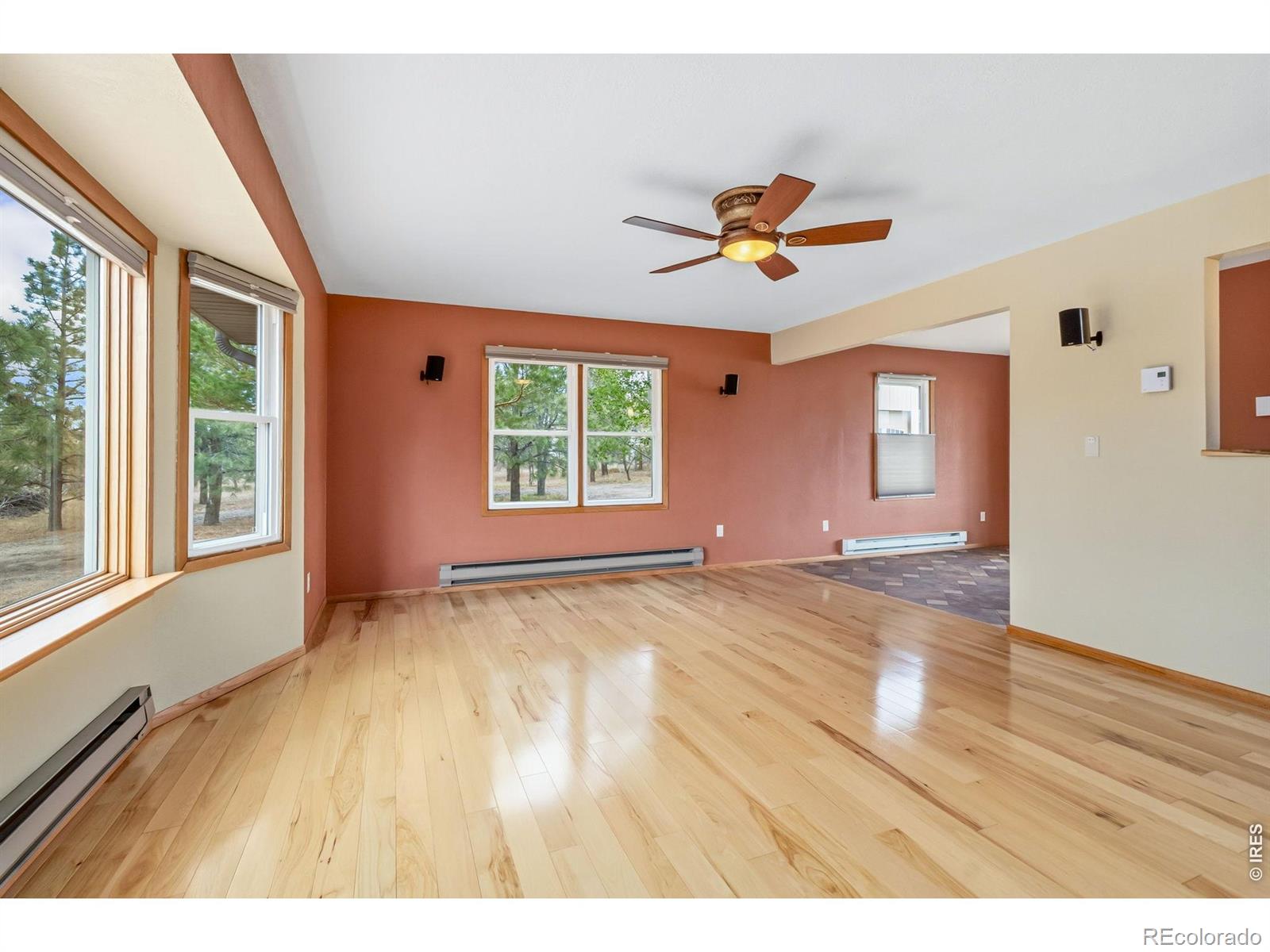 MLS Image #4 for 4608  norwood avenue,loveland, Colorado