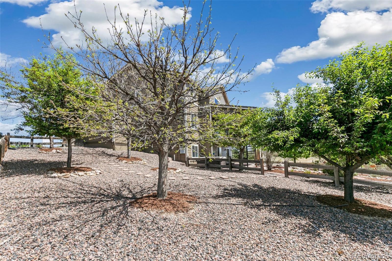 MLS Image #12 for 12099  hazy hills drive,parker, Colorado