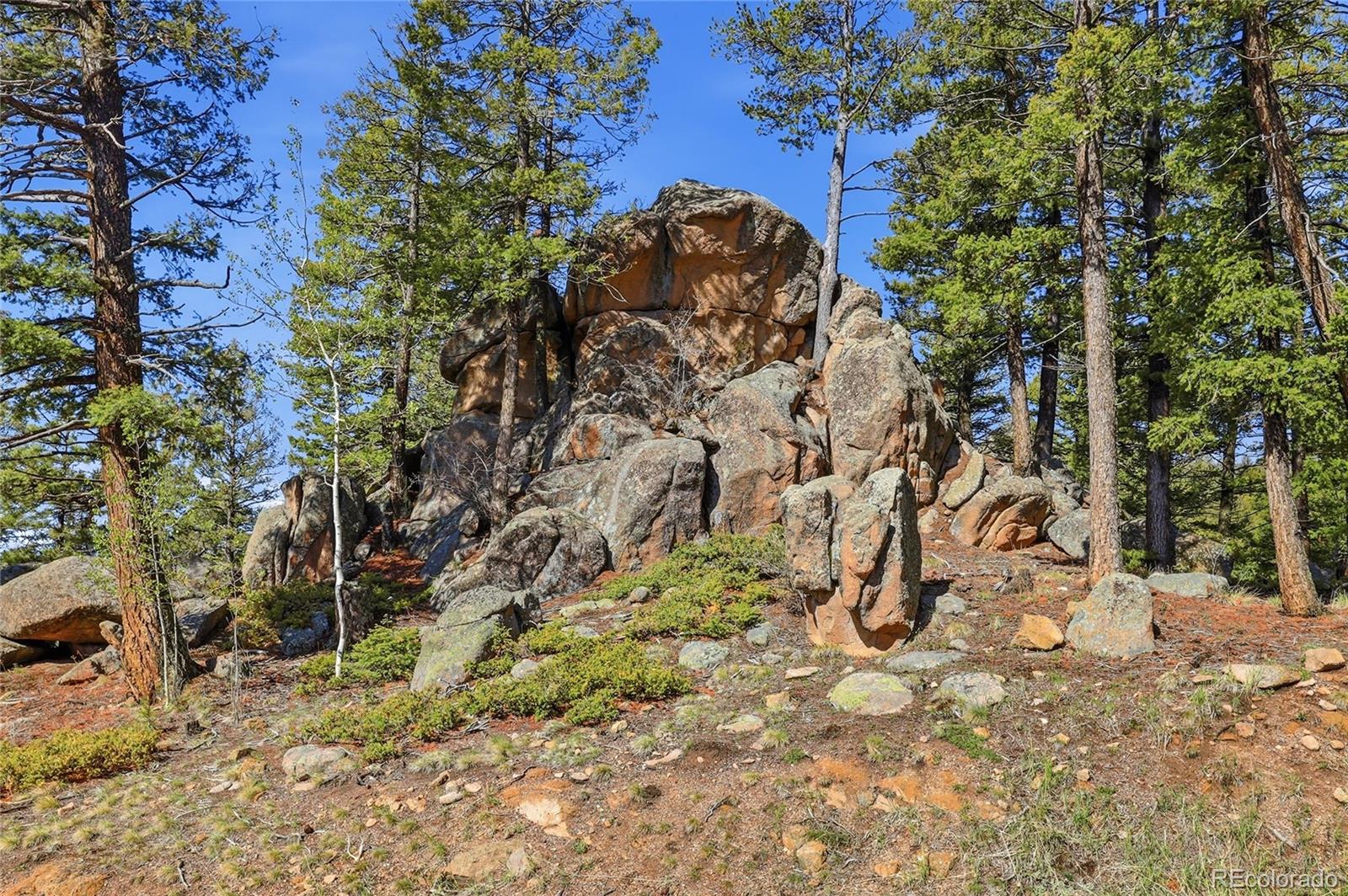 MLS Image #43 for 24073  peak drive,conifer, Colorado
