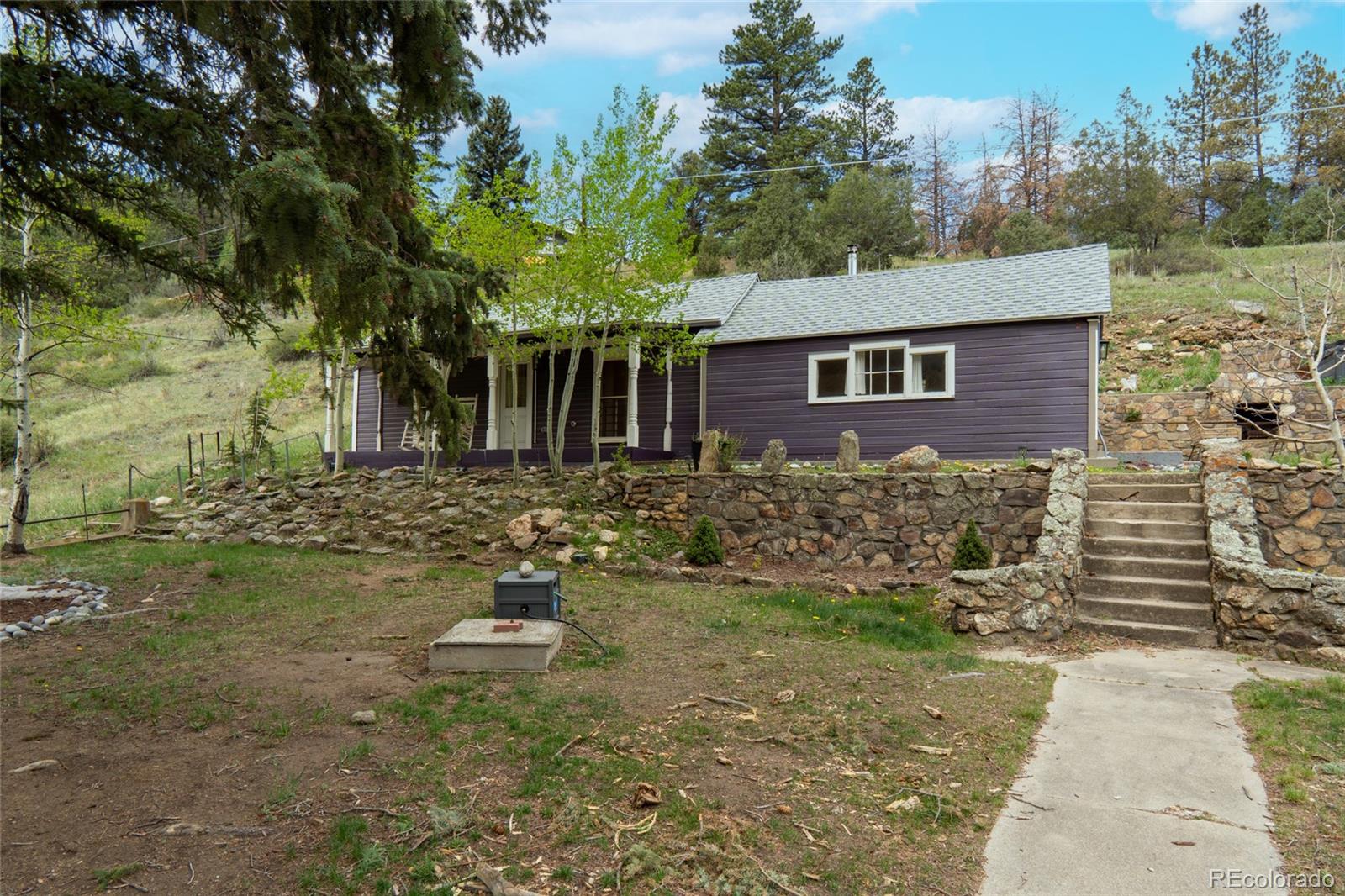 MLS Image #5 for 401  soda creek road,idaho springs, Colorado