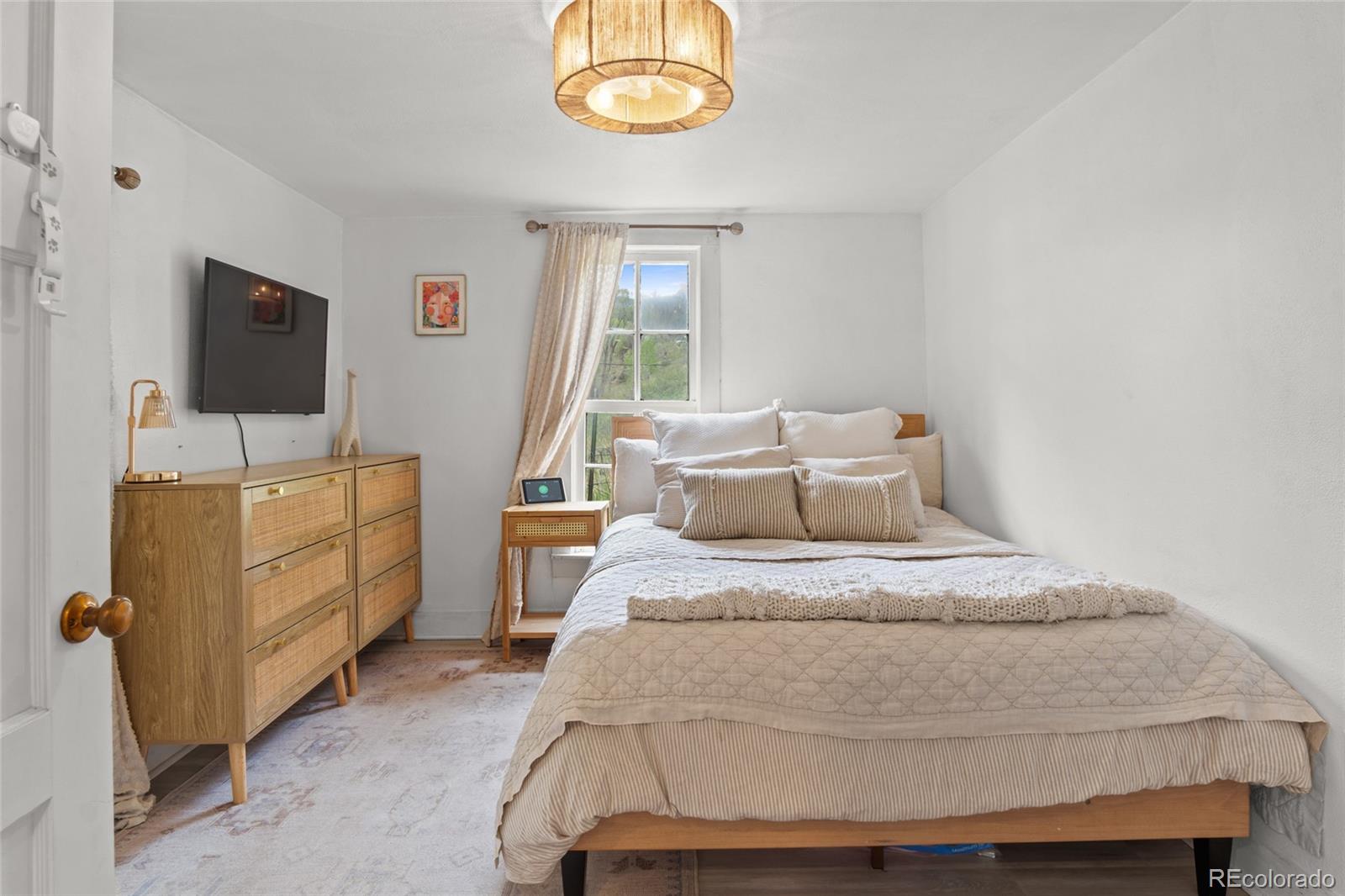 MLS Image #6 for 401  soda creek road,idaho springs, Colorado