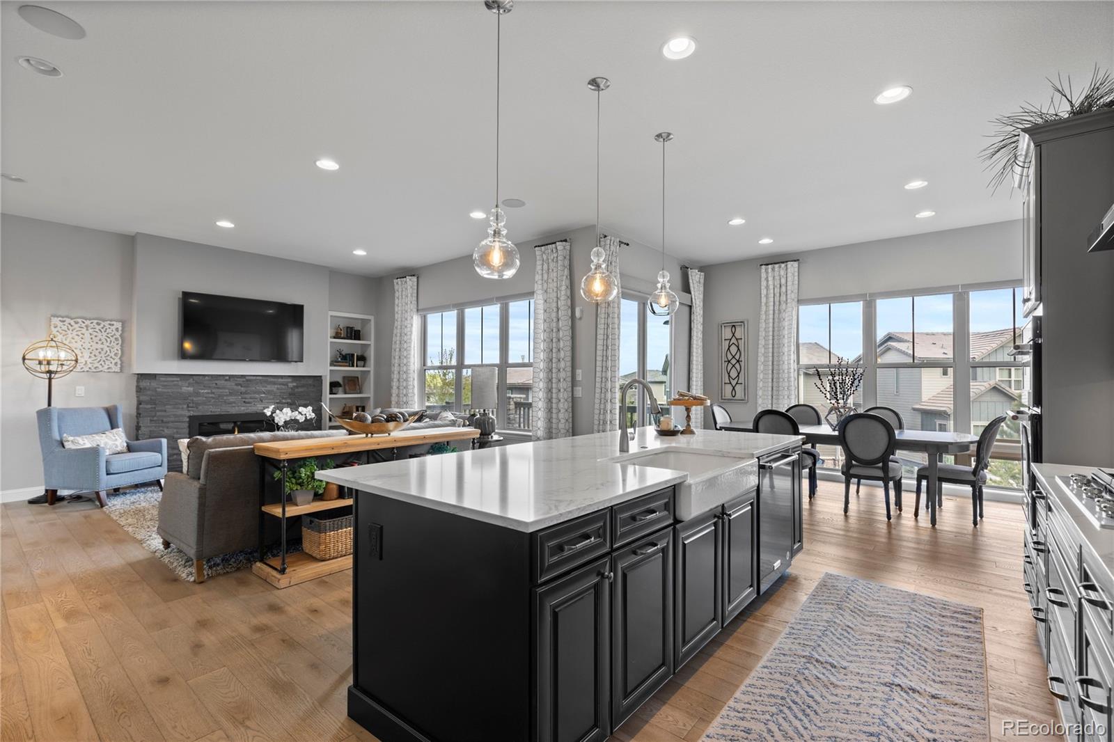 MLS Image #3 for 485  meadowleaf lane,highlands ranch, Colorado