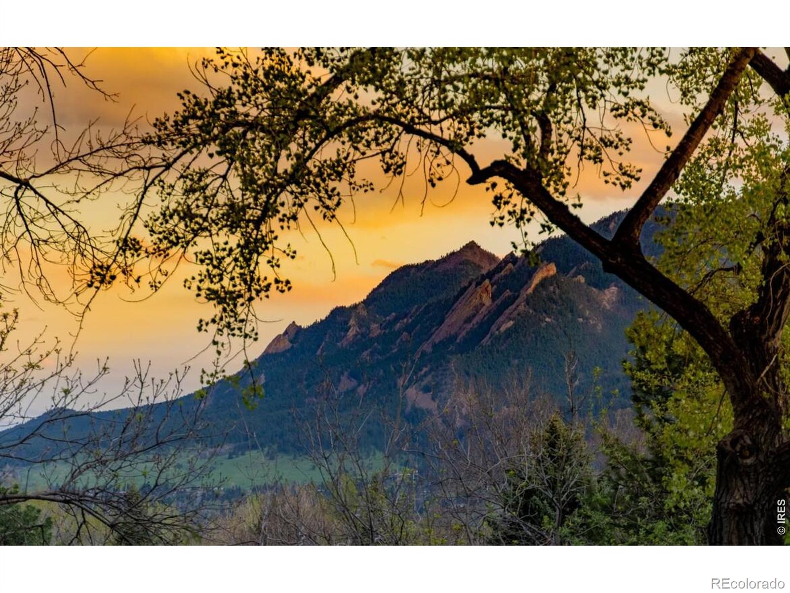MLS Image #33 for 3746  wonderland hill avenue,boulder, Colorado