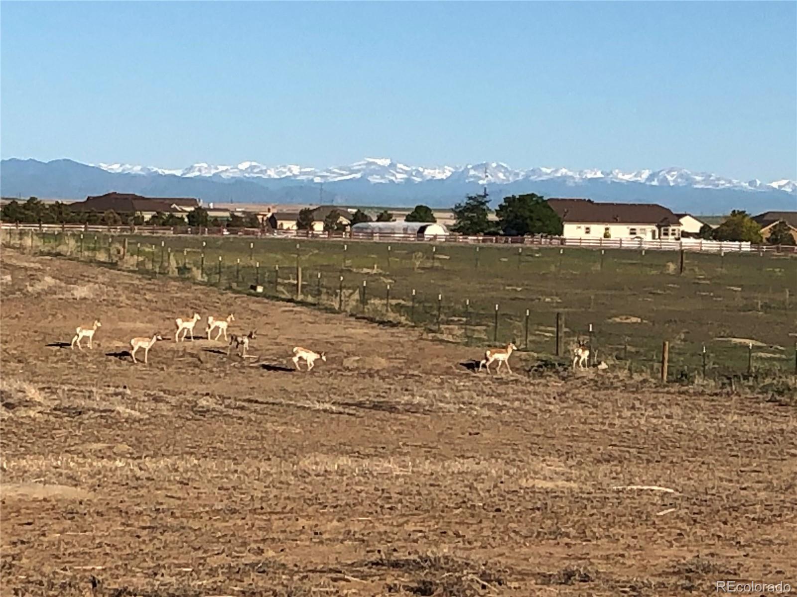 MLS Image #2 for 34623 e 10th drive,watkins, Colorado
