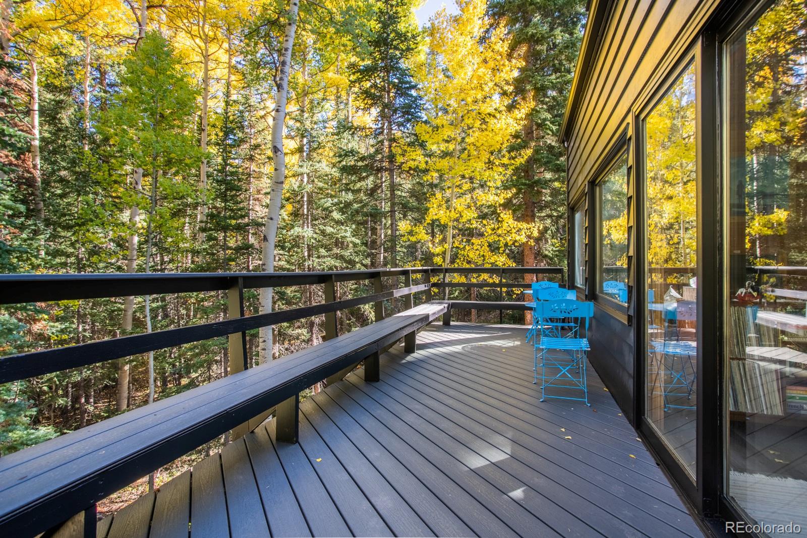 MLS Image #10 for 48  moss lane,dumont, Colorado