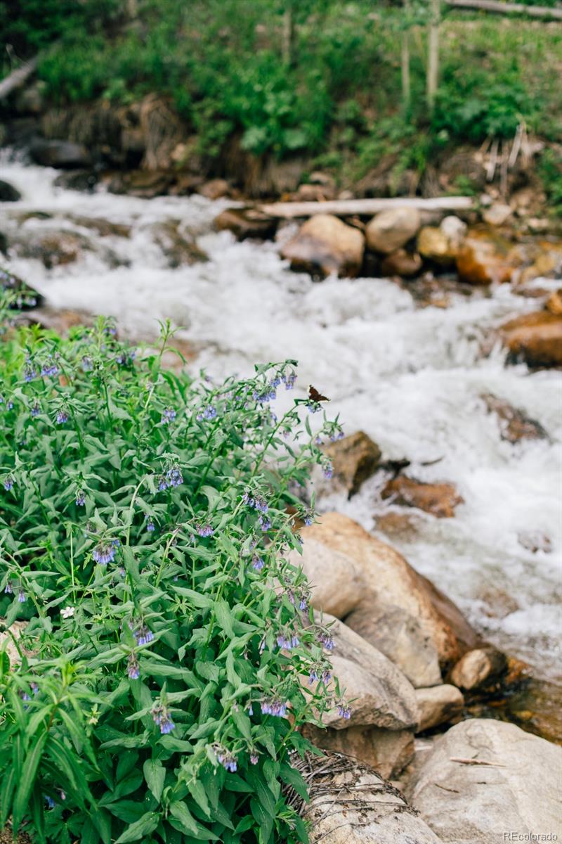 MLS Image #11 for 48  moss lane,dumont, Colorado