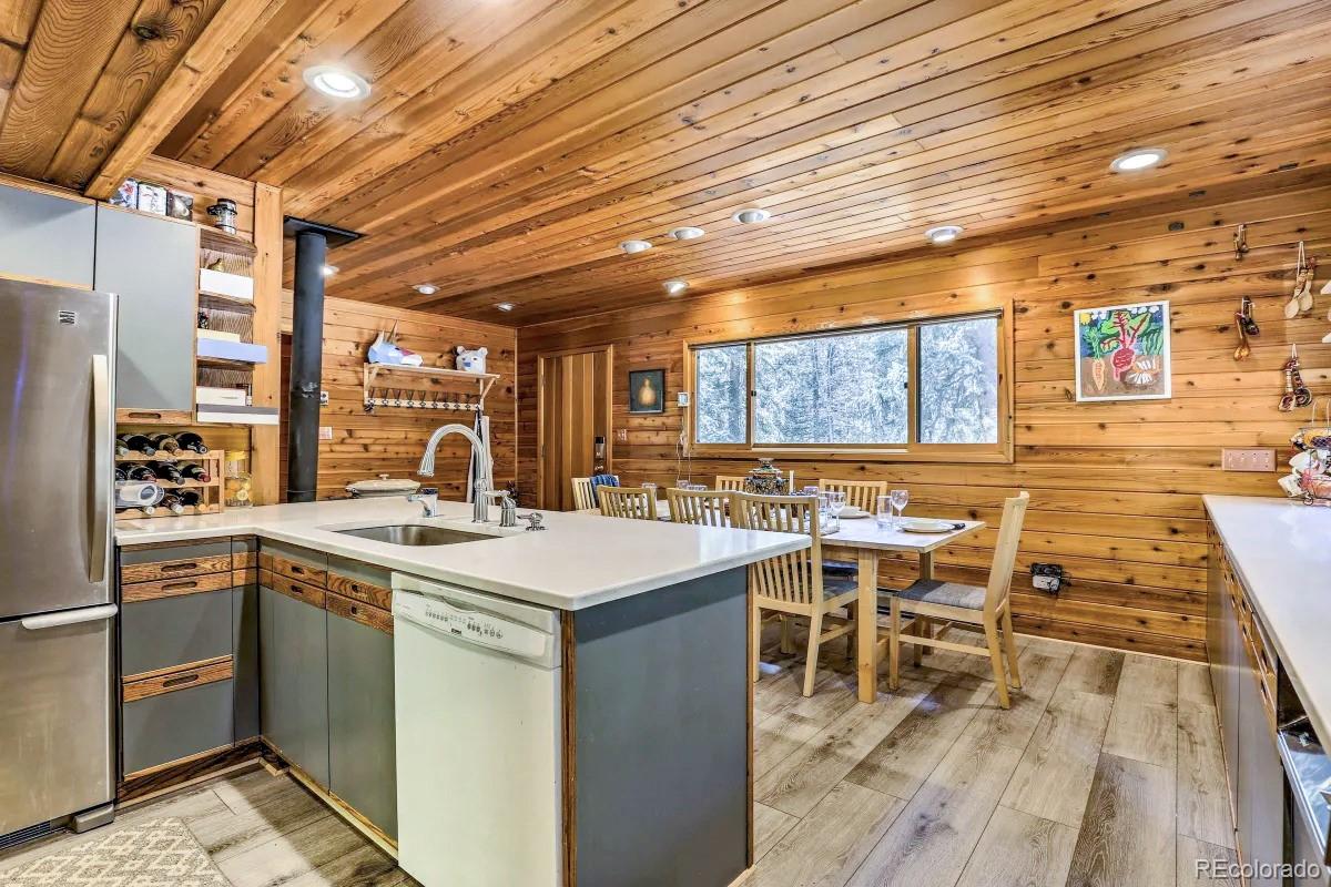 MLS Image #16 for 48  moss lane,dumont, Colorado