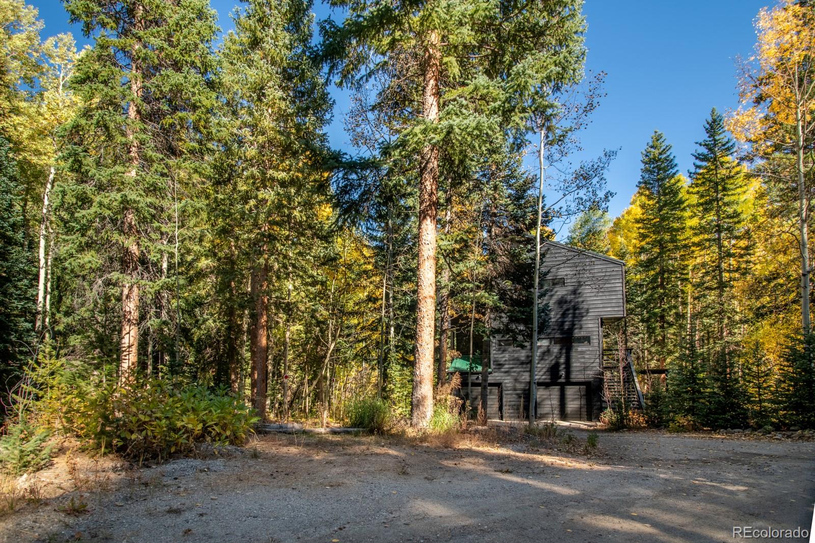 MLS Image #2 for 48  moss lane,dumont, Colorado