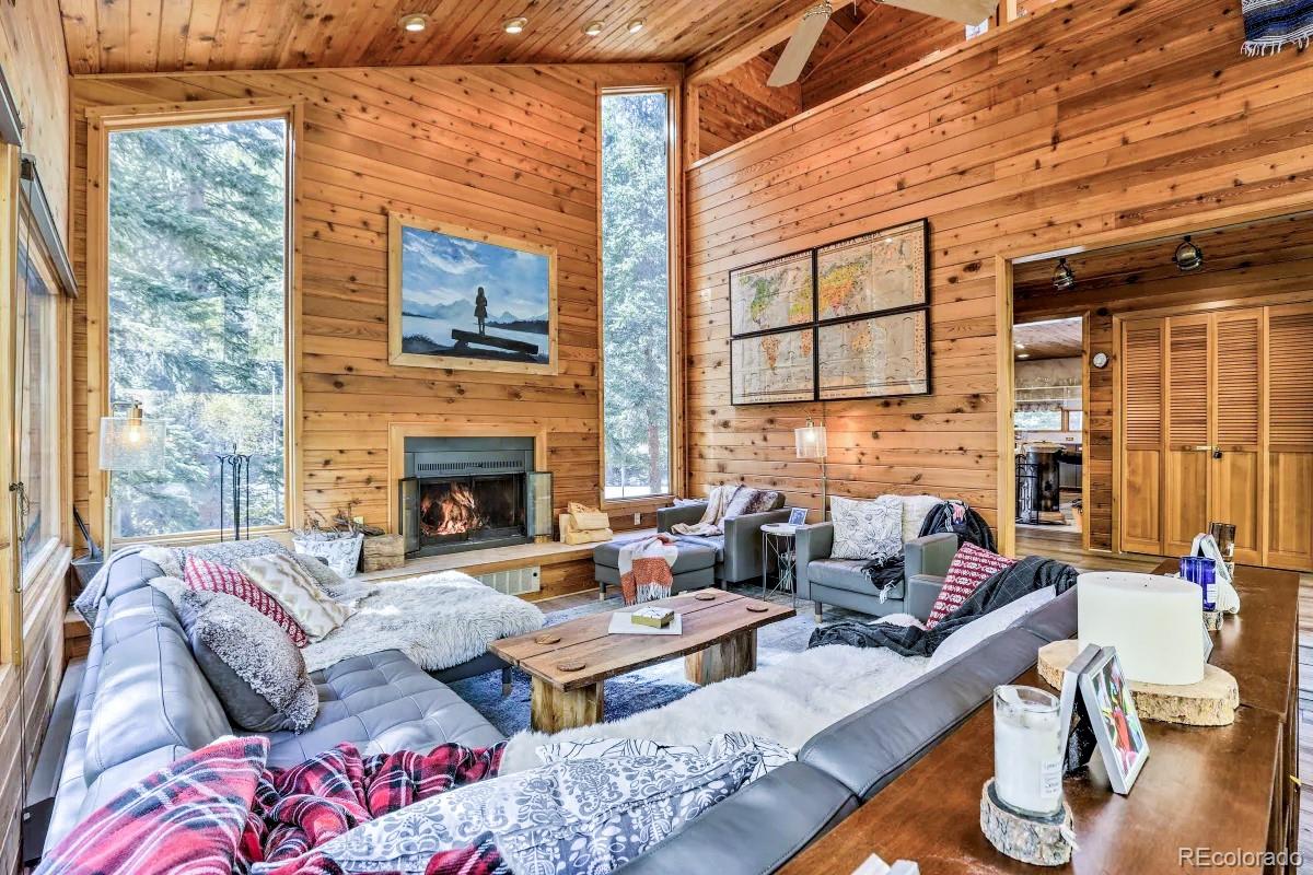 MLS Image #21 for 48  moss lane,dumont, Colorado