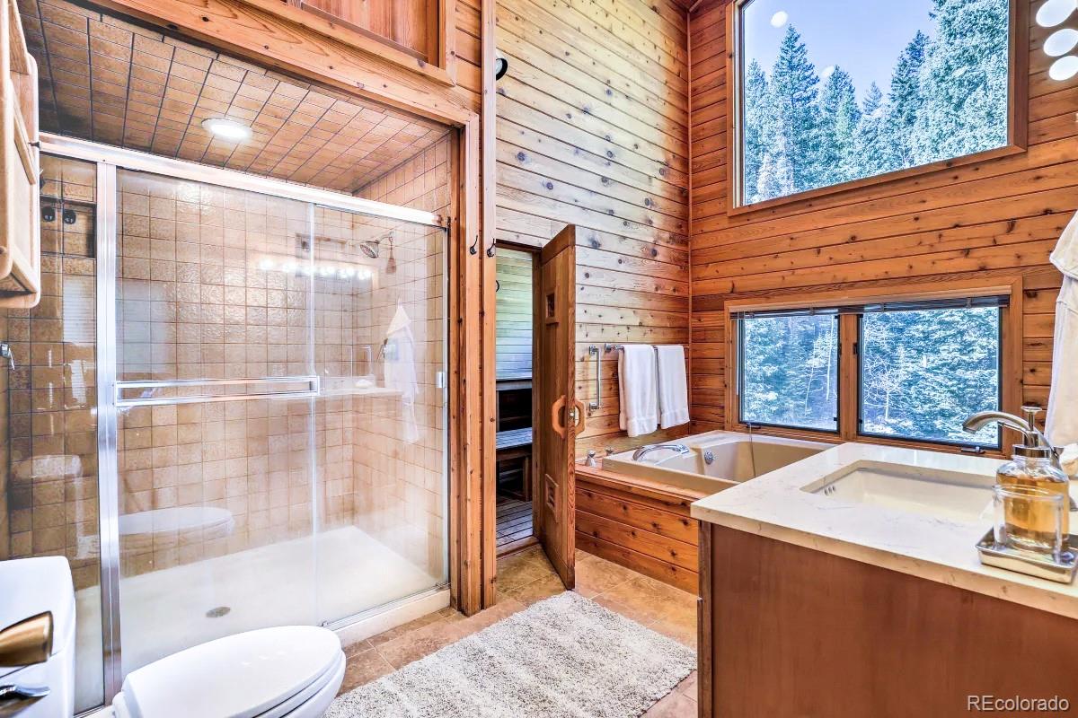 MLS Image #28 for 48  moss lane,dumont, Colorado