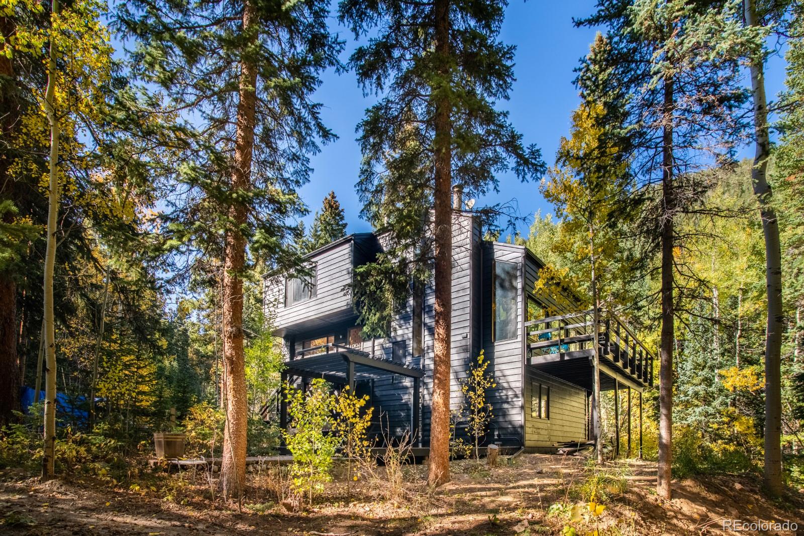 MLS Image #3 for 48  moss lane,dumont, Colorado